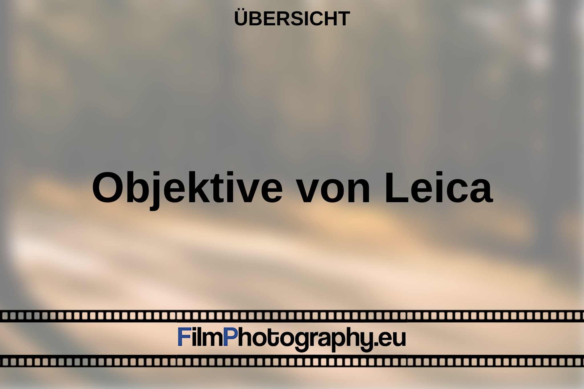 objektive-von-leica-Übersicht-bnv.jpg
