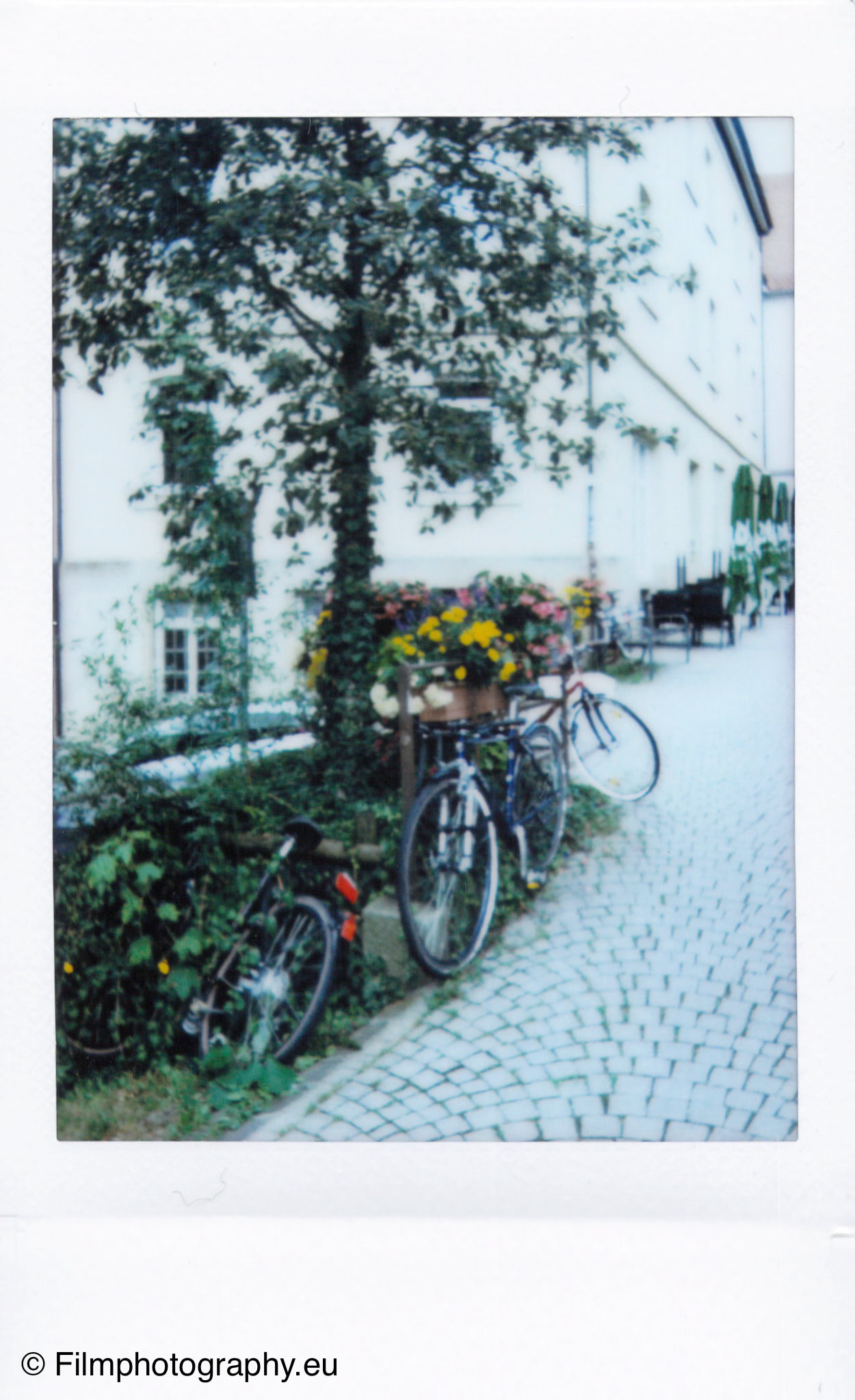 fujifilm-instax-mini-12-review-sample-photos-4