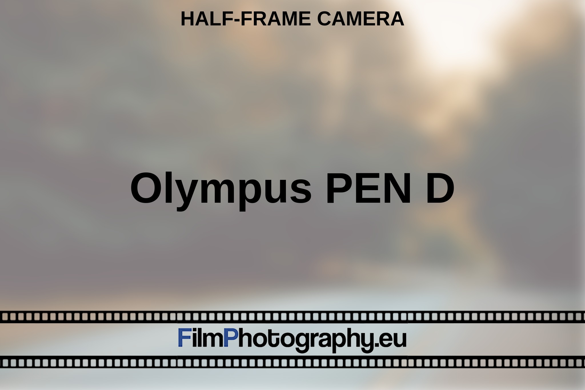 olympus-pen-d-half-frame-camera-en-bnv.jpg