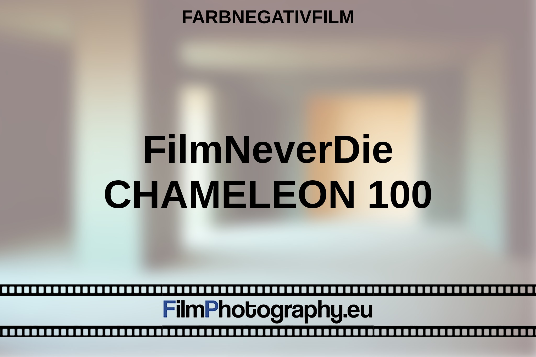 filmneverdie-chameleon-100-farbnegativfilm-bnv.jpg