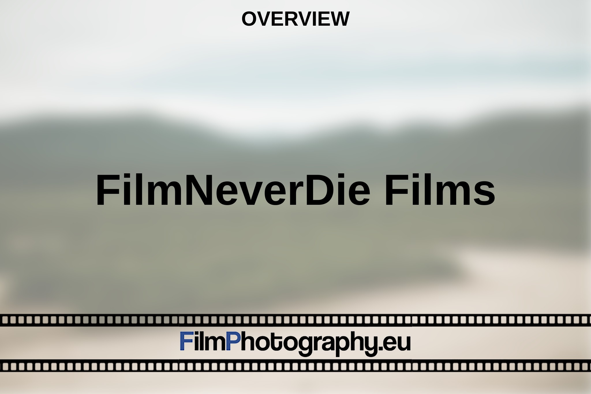 filmneverdie-films-overview-bnv.jpg