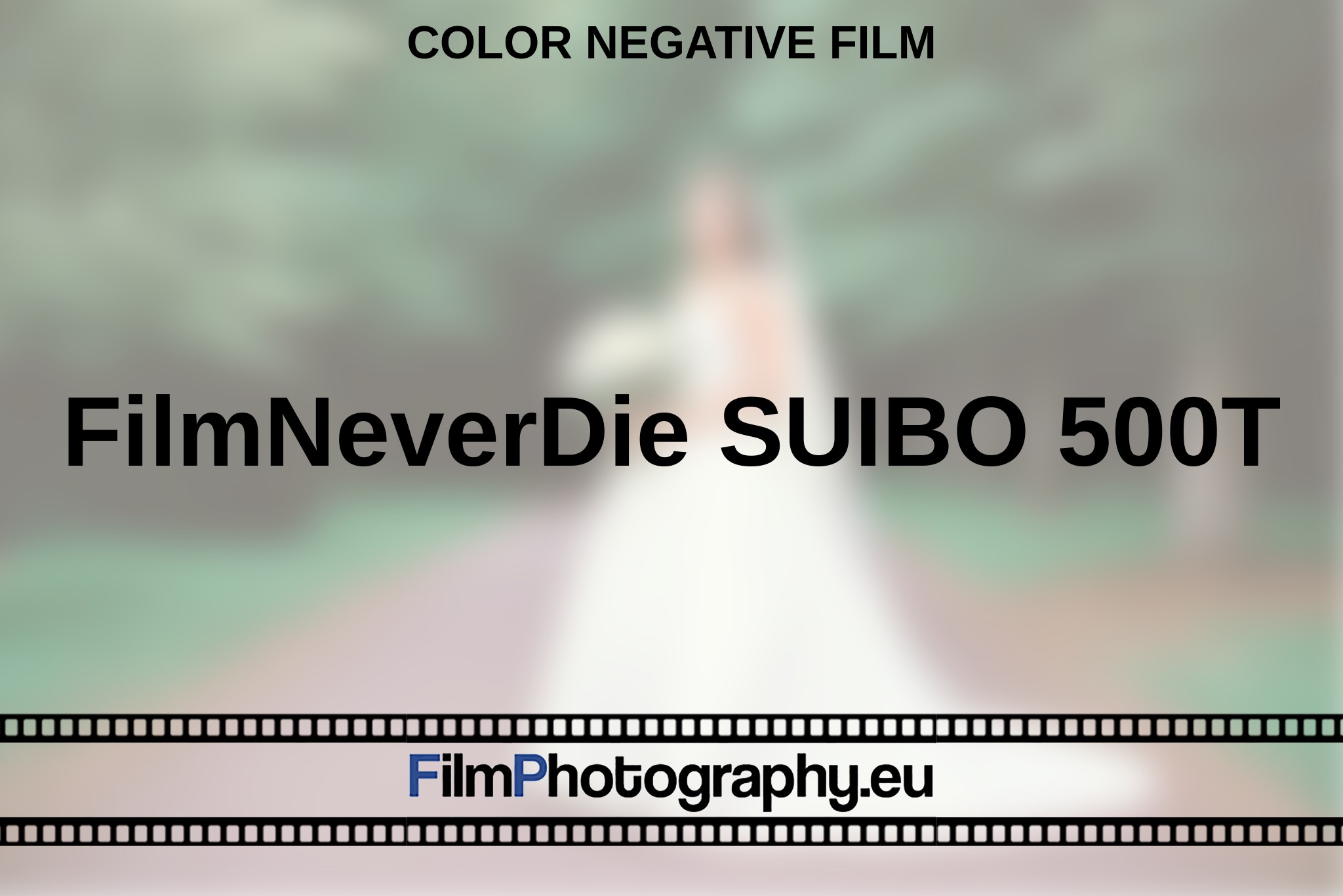 filmneverdie-suibo-500t-color-negative-film-en-bnv.jpg