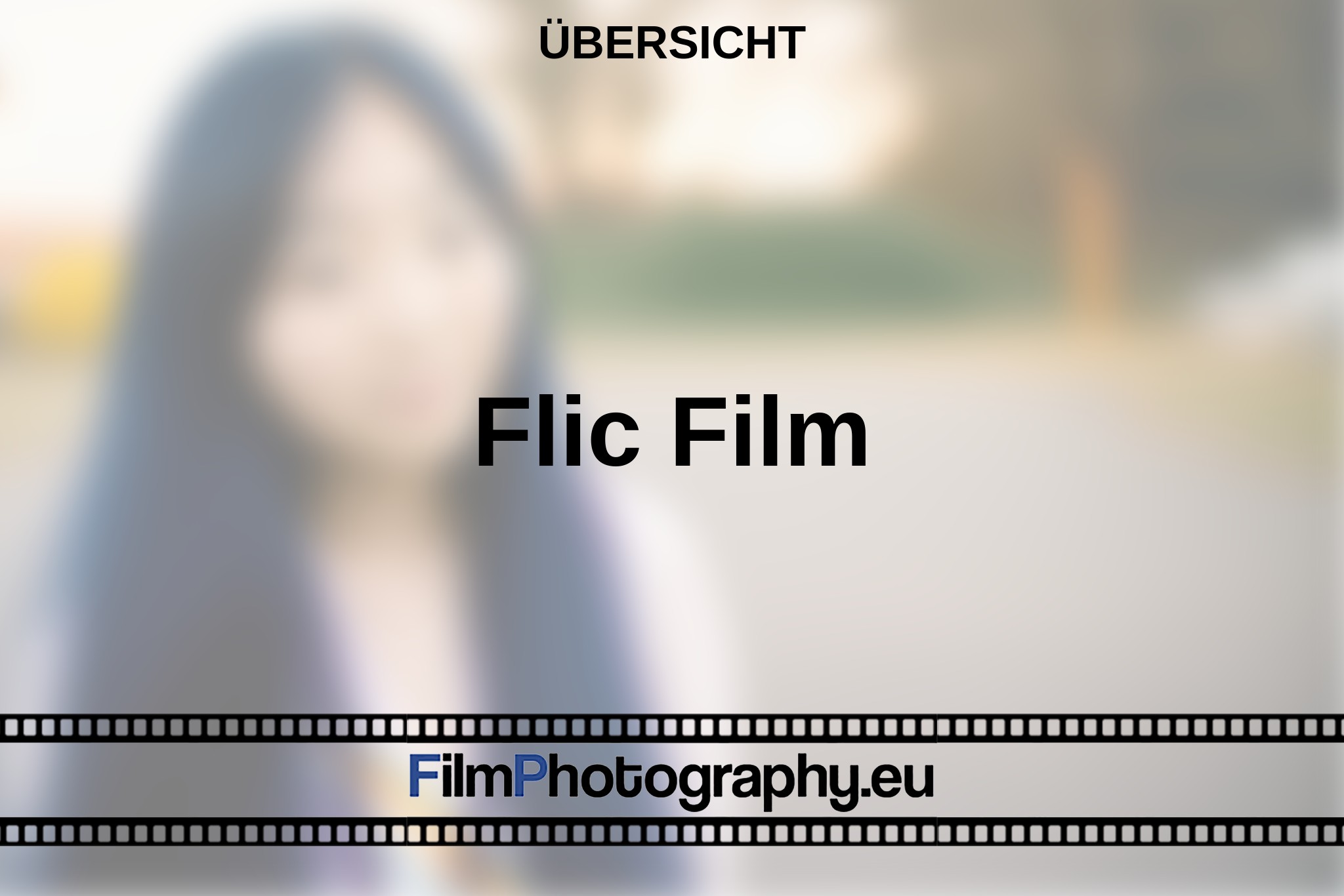 flic-film-Übersicht-bnv.jpg