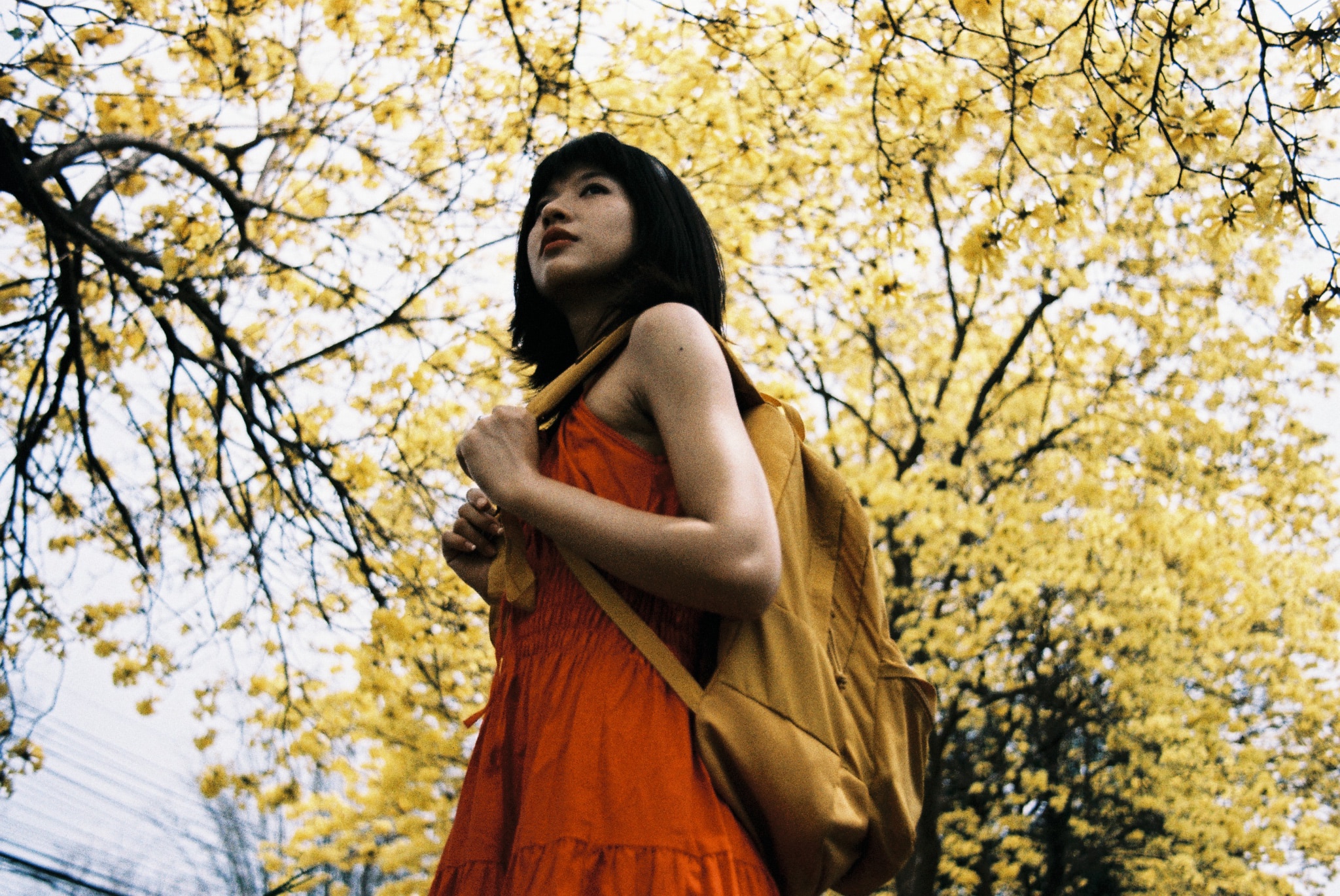 lomography-lomochrome-color-92-sun-kissed-400-sample-guide
