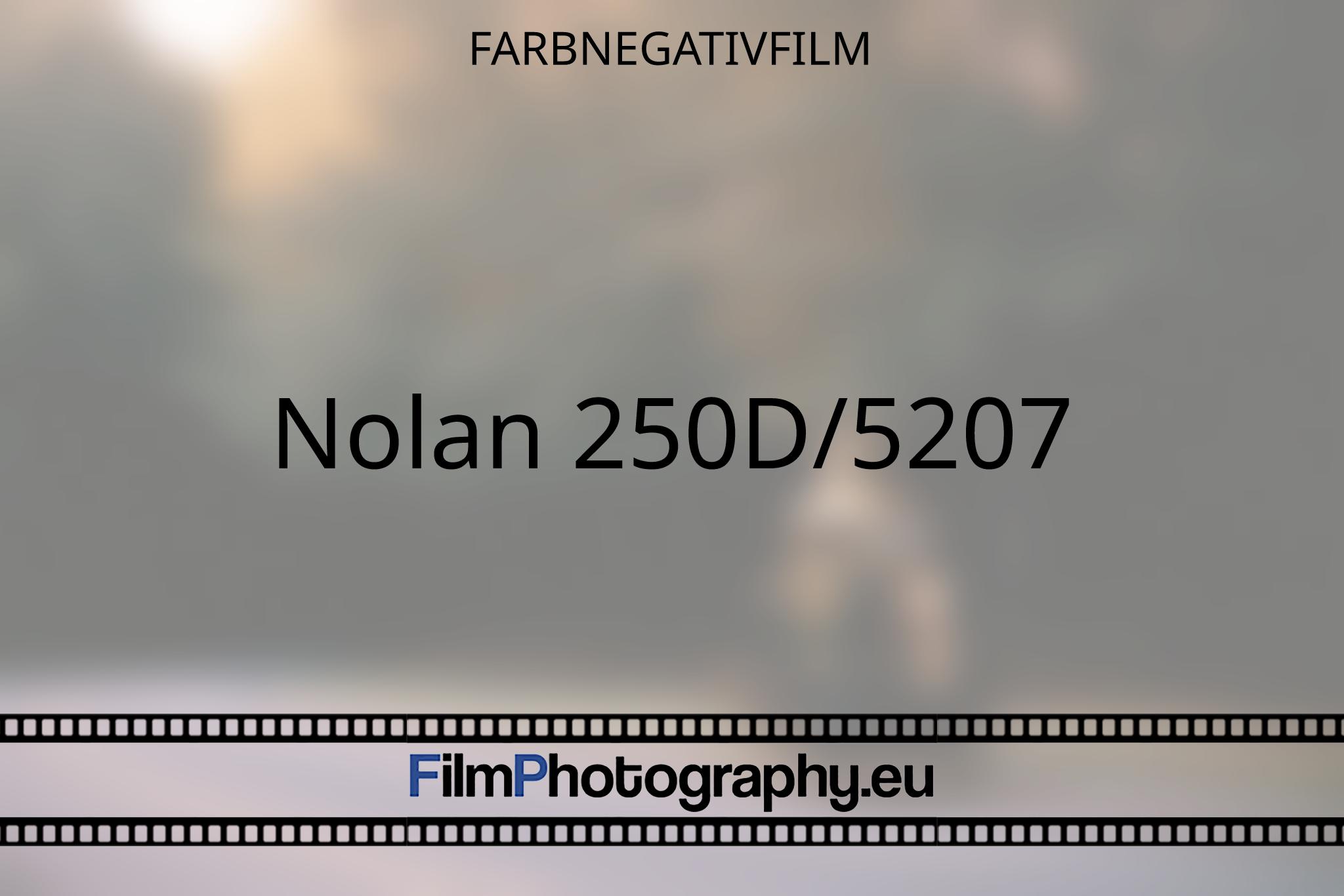 nolan-250d-5207-farbnegativfilm-8652-bnv.jpg