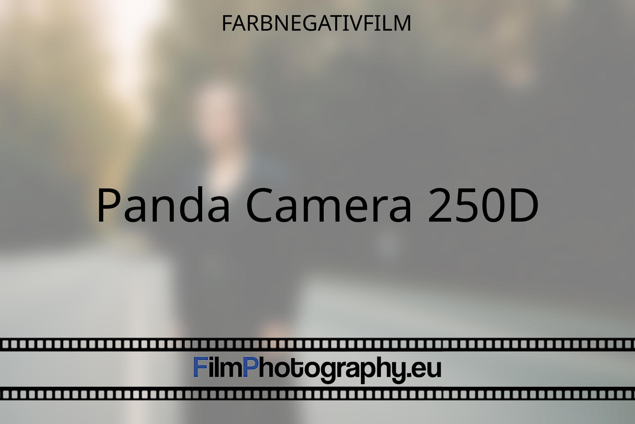 panda-camera-250d-farbnegativfilm-3020-bnv.jpg