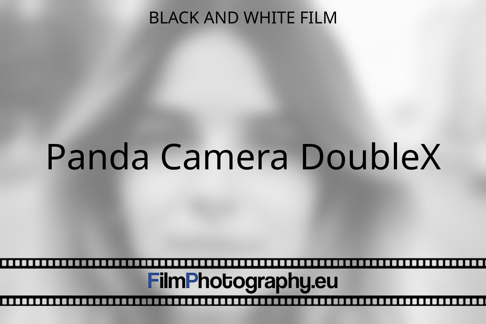 panda-camera-doublex-black-and-white-film-5189-bnv.jpg