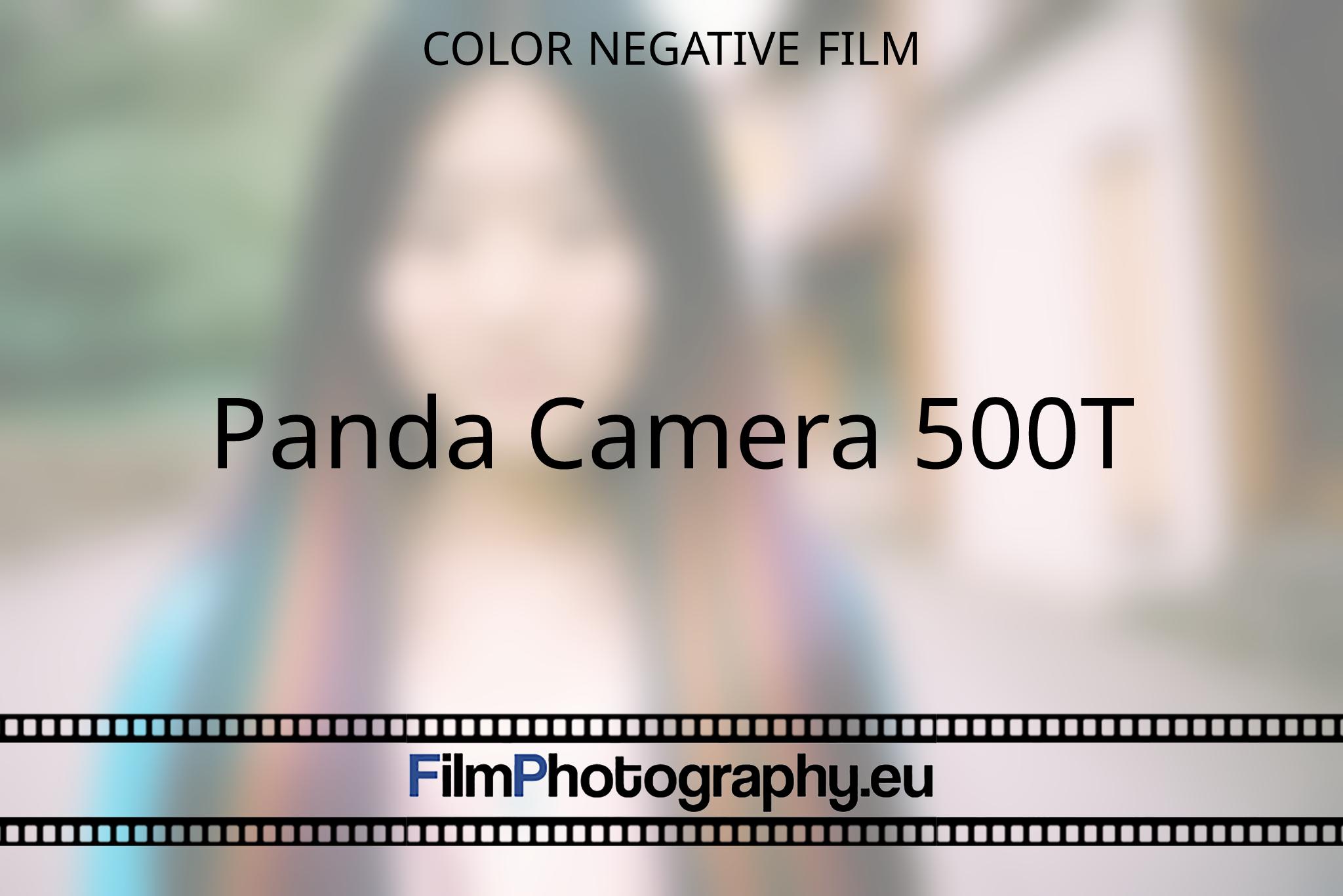 panda-camera-500t-color-negative-film-6364-bnv.jpg