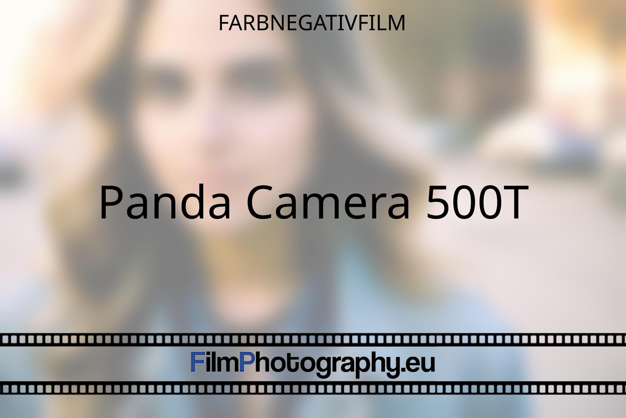panda-camera-500t-farbnegativfilm-5043-bnv.jpg
