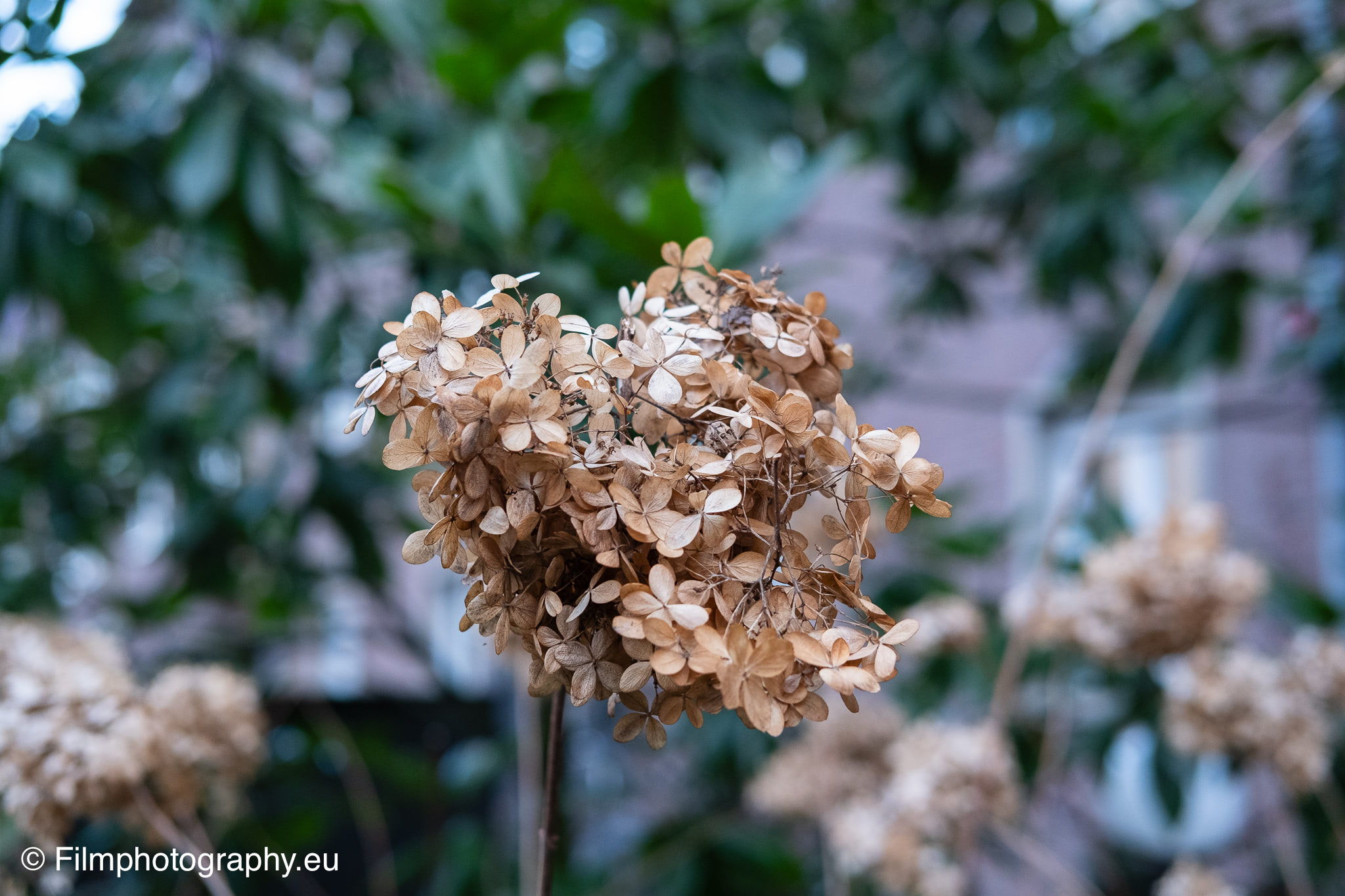 fujifilm-fujinon-xf-35mm-sample-photo-aperture-f28