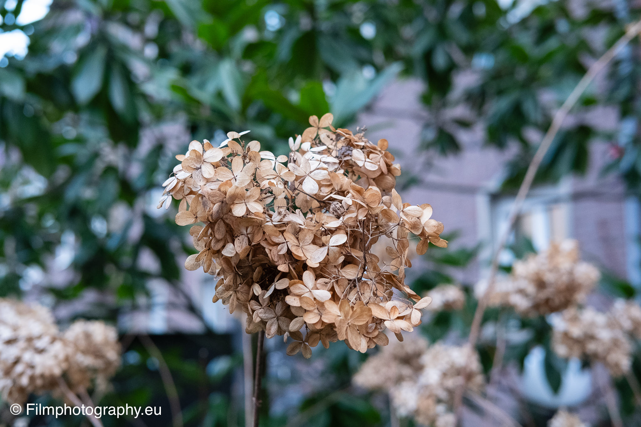 fujifilm-fujinon-xf-35mm-sample-photo-aperture-f4