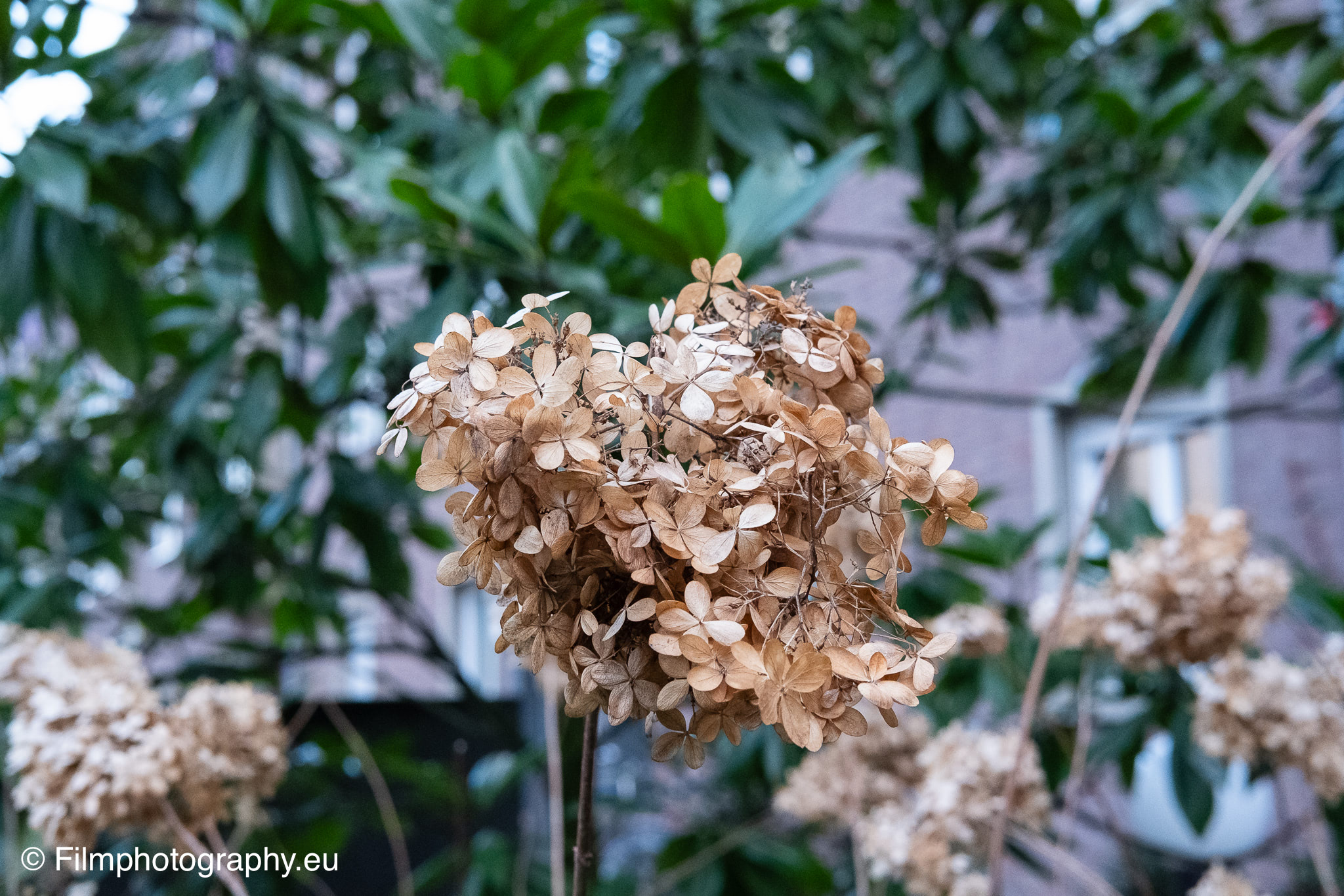 fujifilm-fujinon-xf-35mm-sample-photo-aperture-f56
