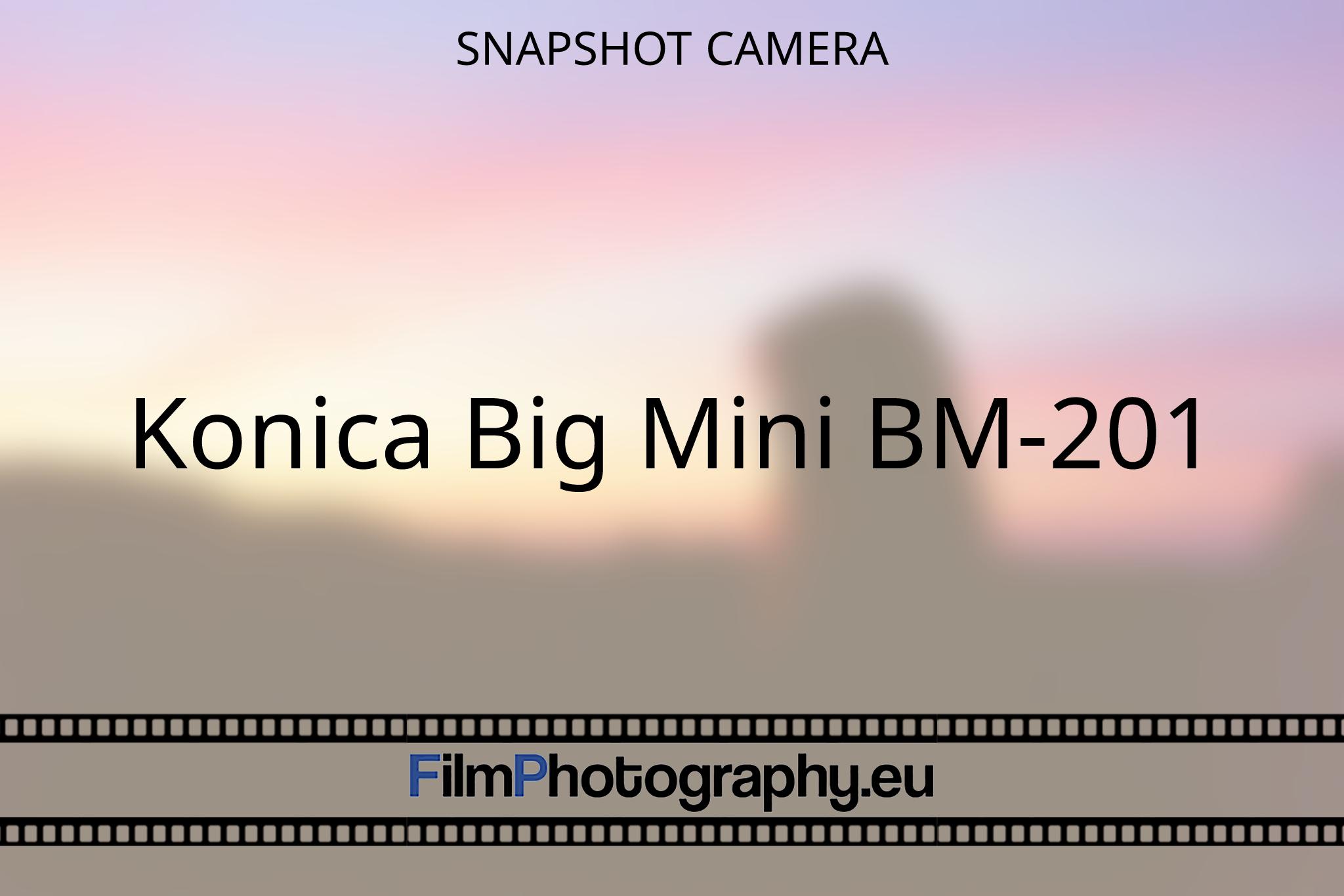 konica-big-mini-bm-201-snapshot-camera-2661-bnv.jpg