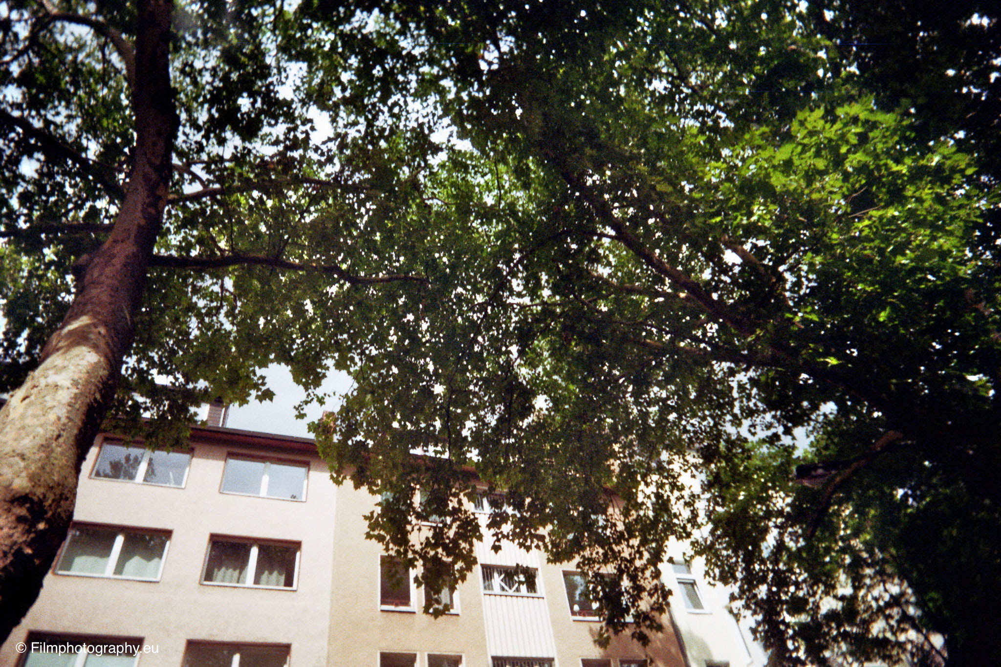 reto-ultra-wide-and-slim-kodak-film-review-6