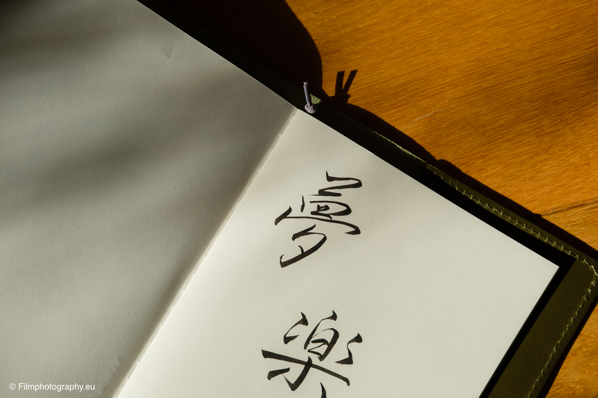 citysheep-leather-journal-notebook-cover-review-46