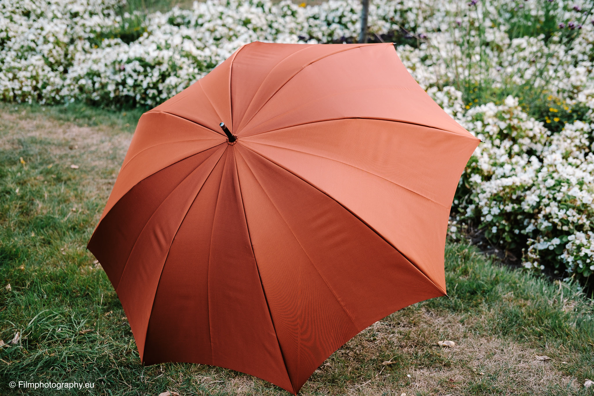 komiya-shoten-tokyo-japan-umbrella-review