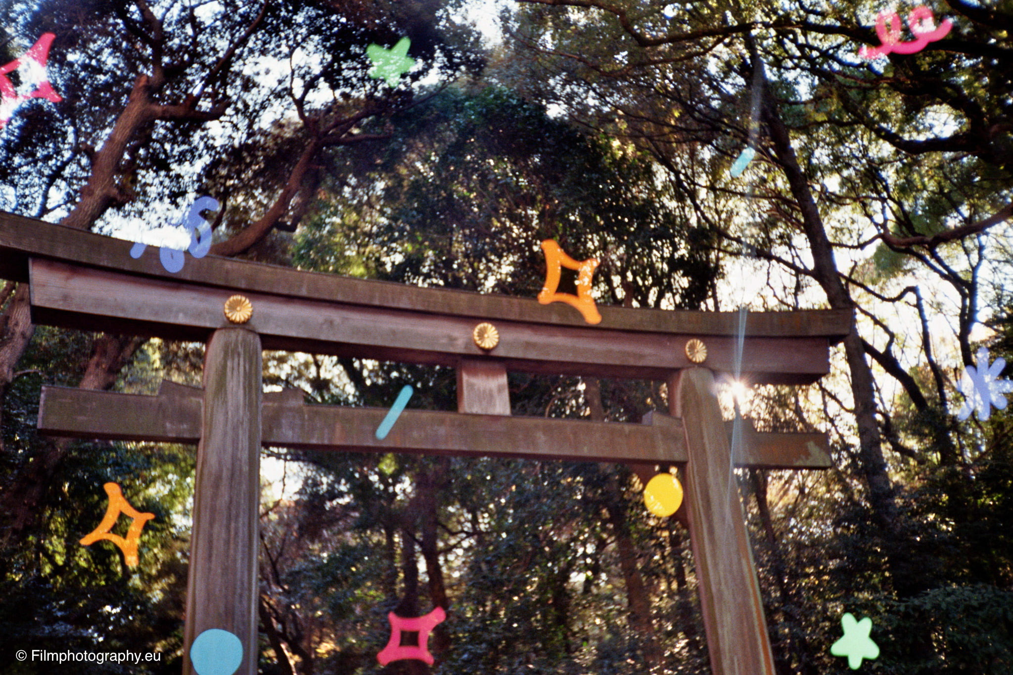 gabble-film-pixie-dust-review-3