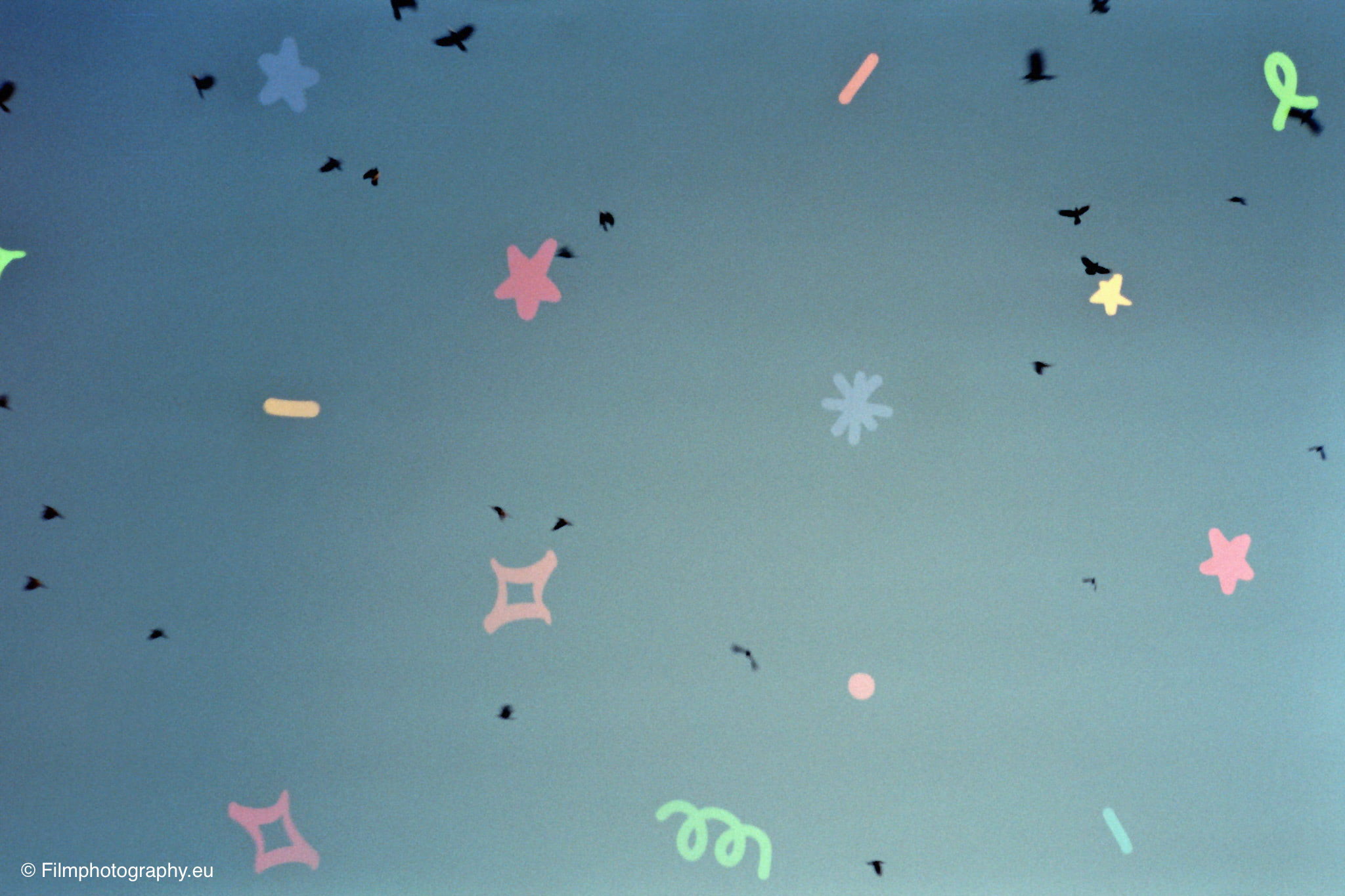 gabble-film-pixie-dust-review-4