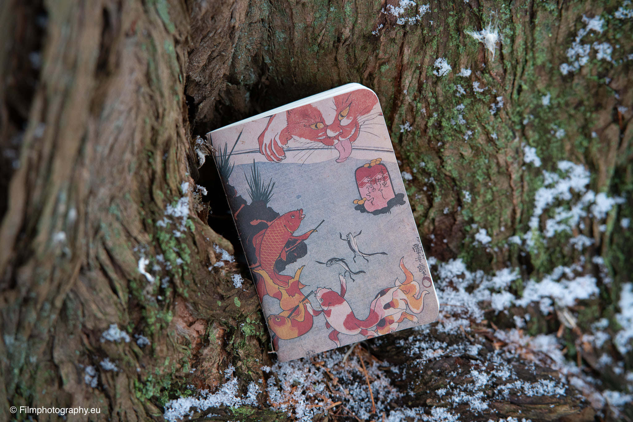 Yamamoto-Robiki-Notizbuch mit Katze- und Koi-Illustrationen an einem verschneiten moosigen Baumstamm im Winterwald