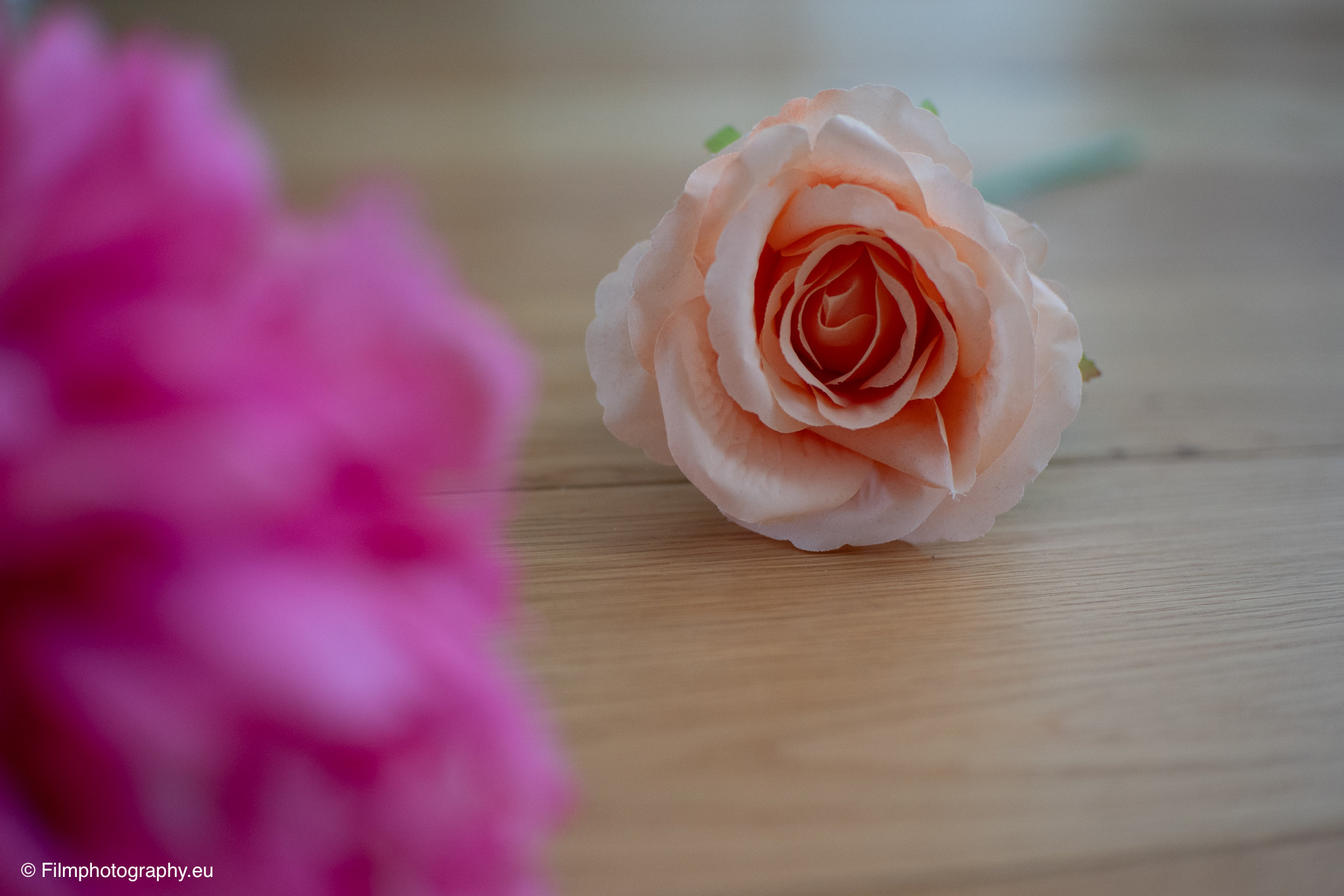 7artisans-mf-35mm-f-1-4-sample-photos-sony-unedited-10