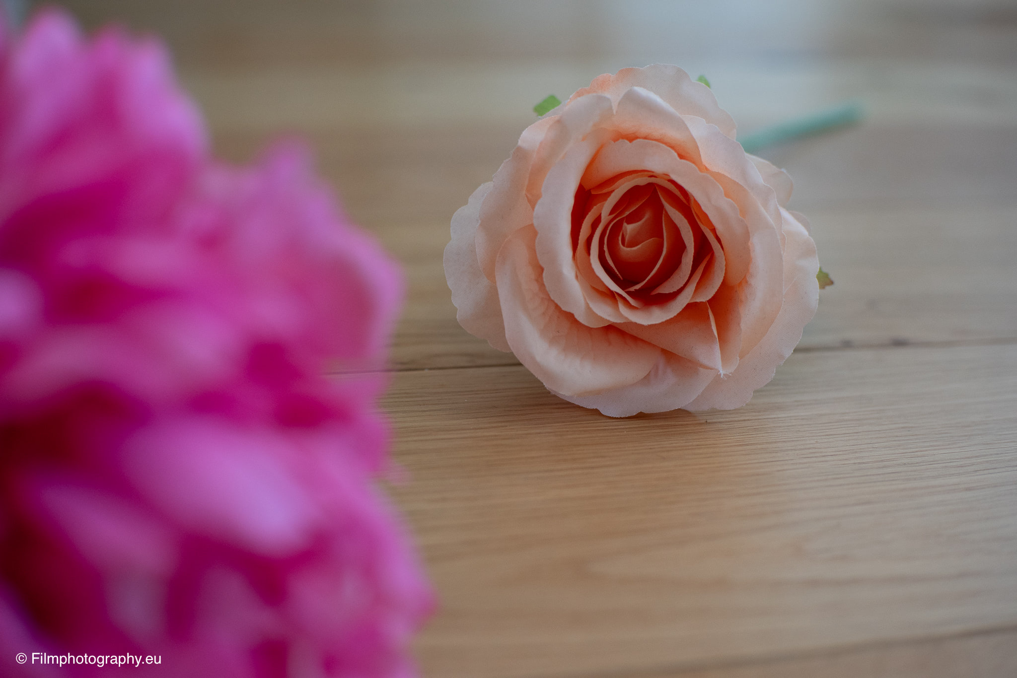 7artisans-mf-35mm-f-1-4-sample-photos-sony-unedited-11