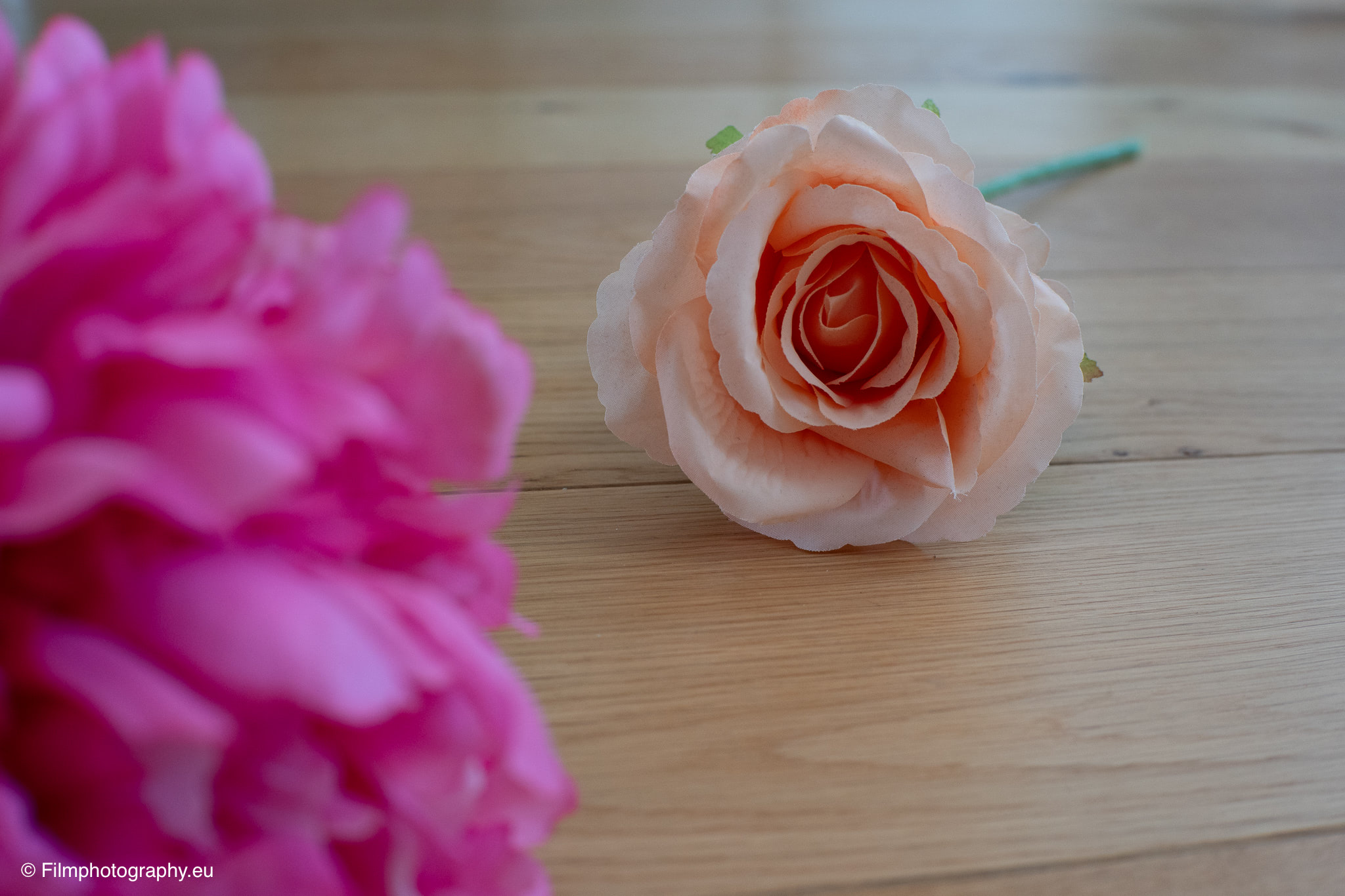 7artisans-mf-35mm-f-1-4-sample-photos-sony-unedited-13