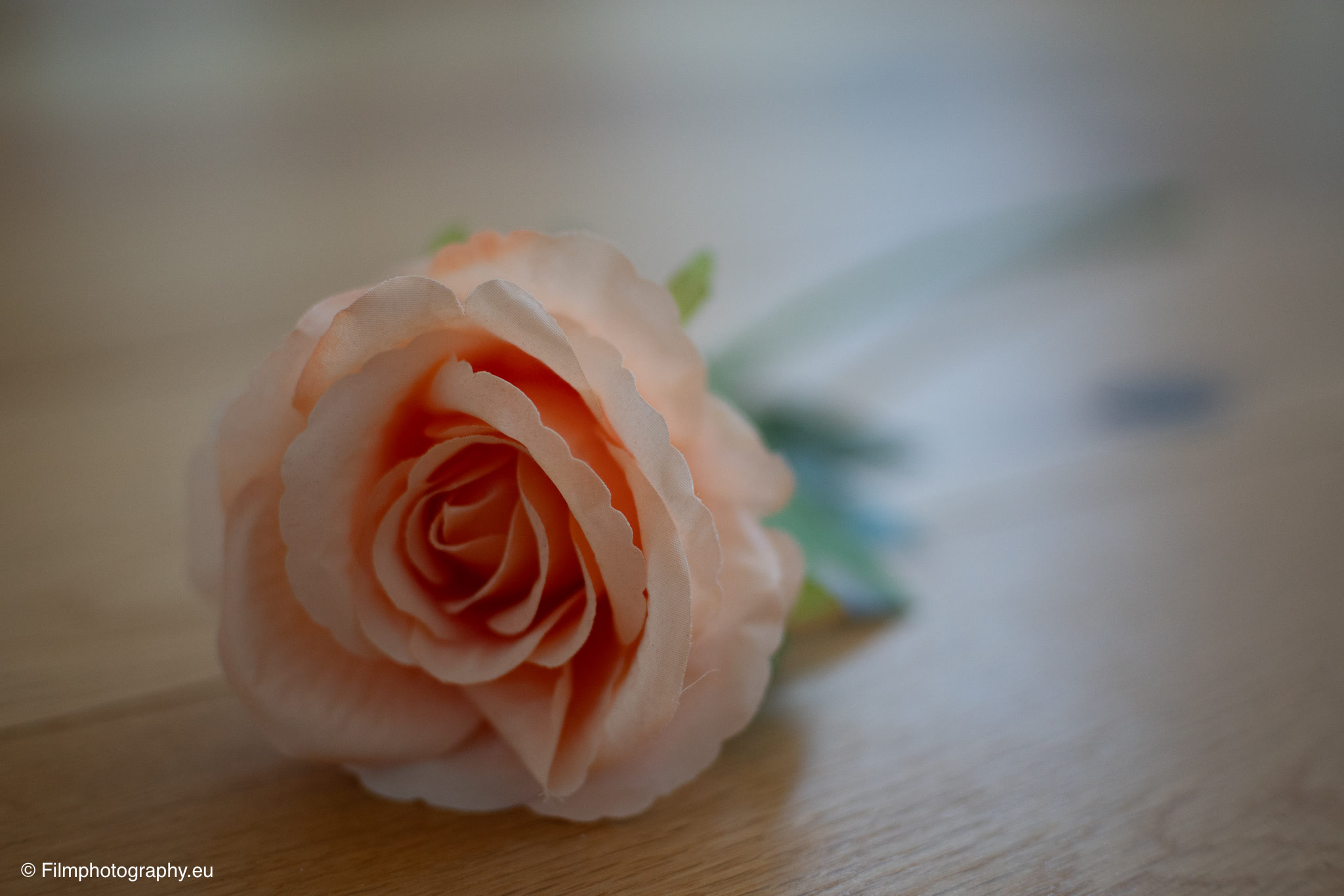 7artisans-mf-35mm-f-1-4-sample-photos-sony-unedited-15