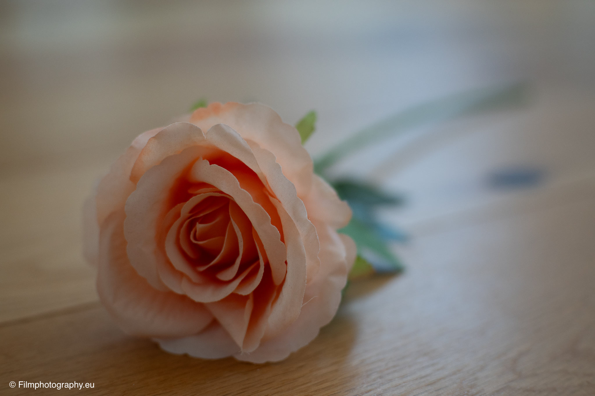 7artisans-mf-35mm-f-1-4-sample-photos-sony-unedited-16