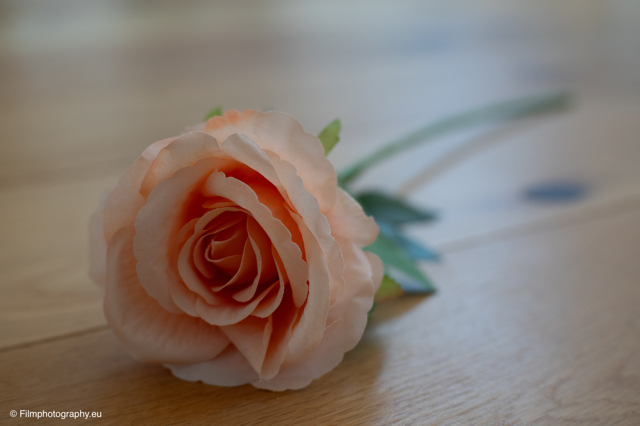 7artisans-mf-35mm-f-1-4-sample-photos-sony-unedited-17