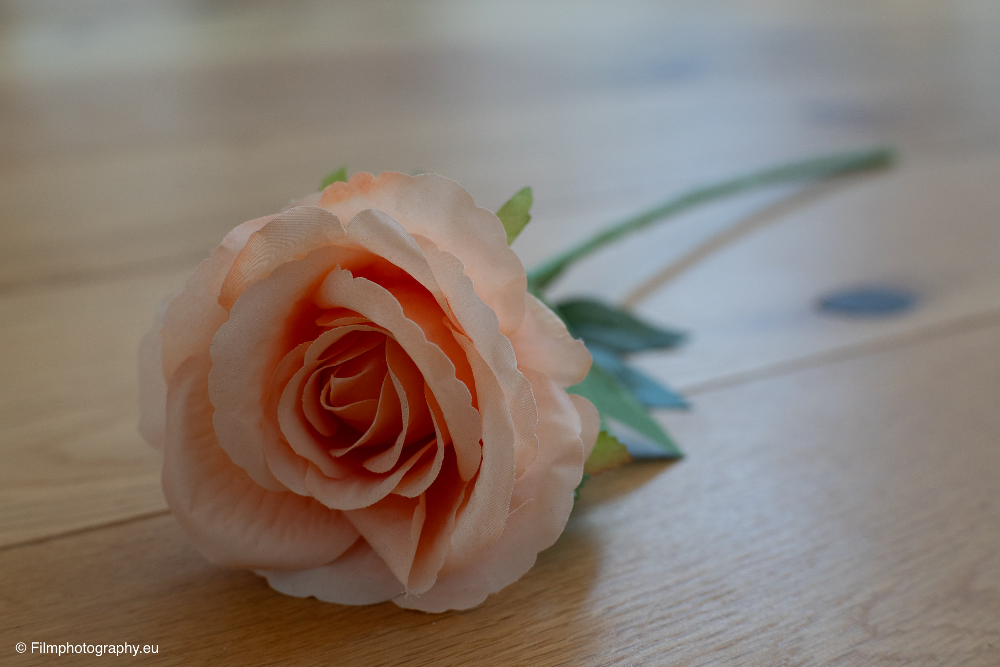 7artisans-mf-35mm-f-1-4-sample-photos-sony-unedited-18