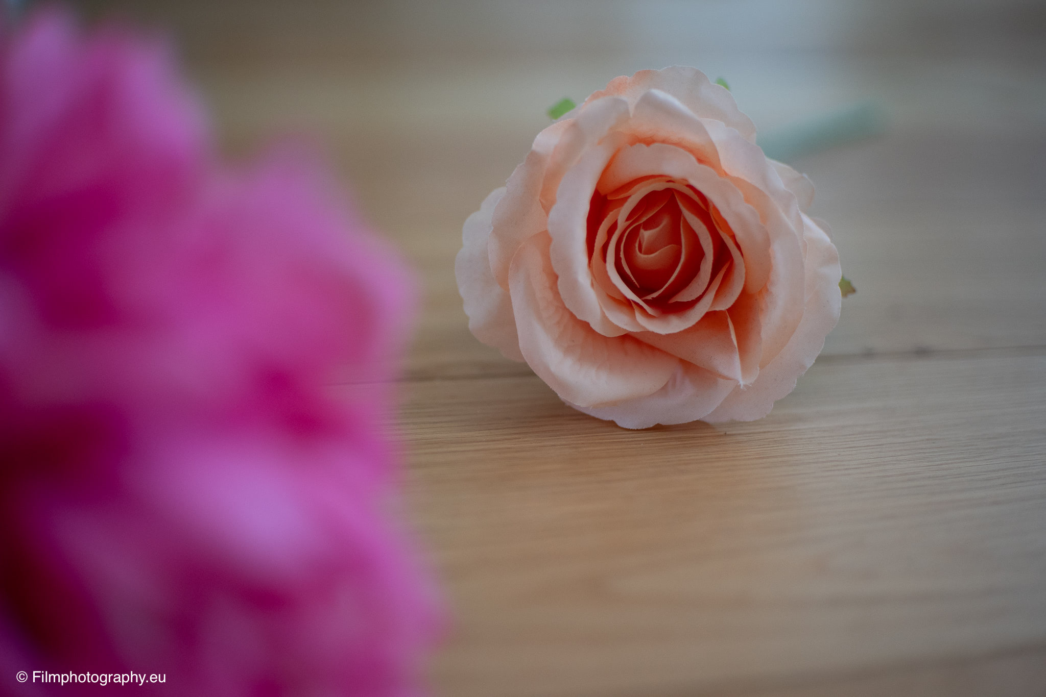 7artisans-mf-35mm-f-1-4-sample-photos-sony-unedited-9