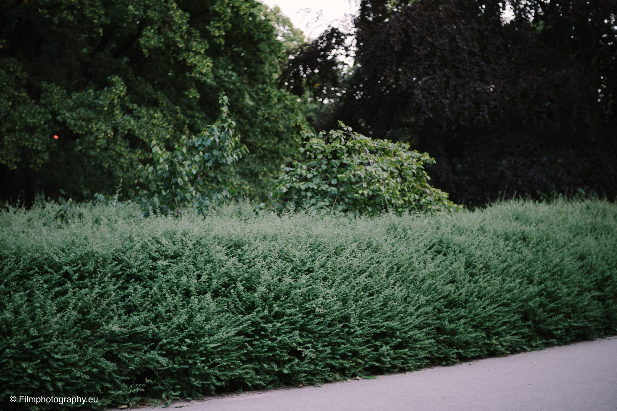 7artisans-mf-35mm-f-1-4-sample-photos-sony-wide-open-15