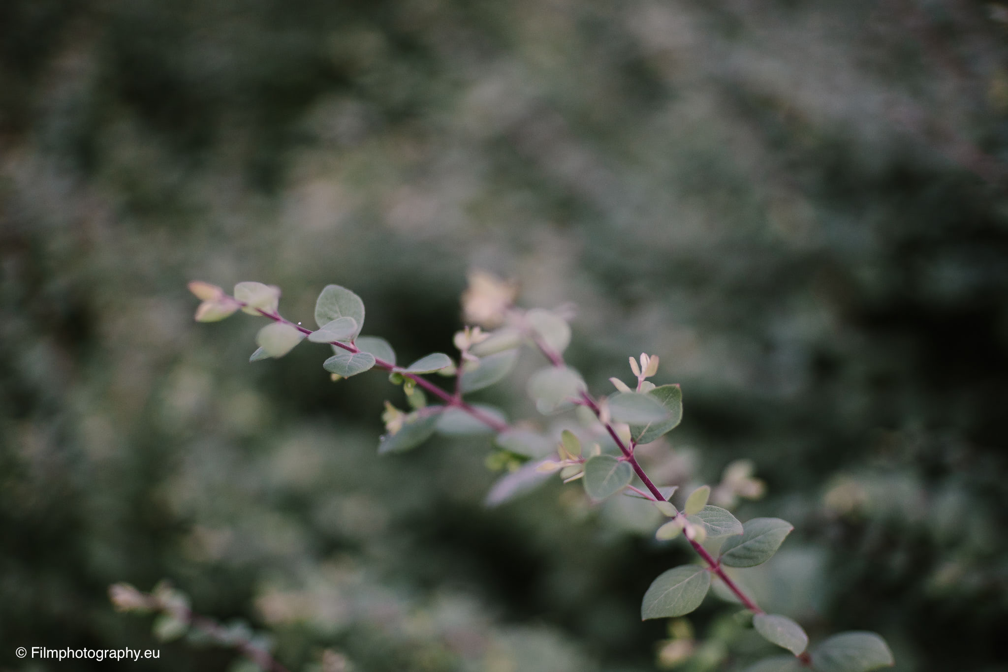 7artisans-mf-35mm-f-1-4-sample-photos-sony-wide-open-18