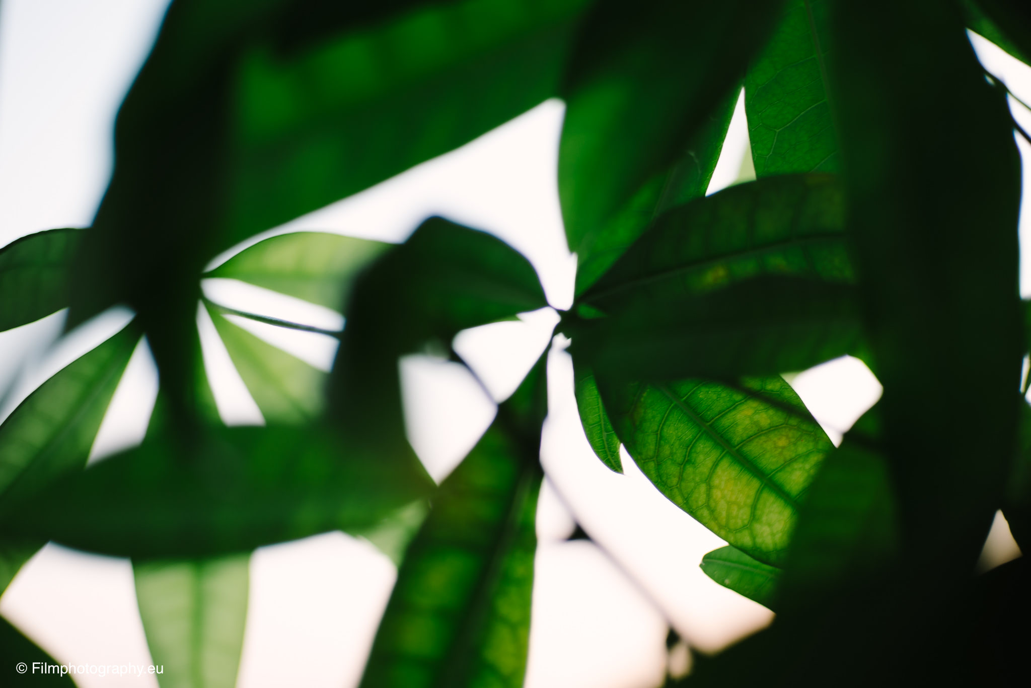 7artisans-mf-35mm-f-1-4-sample-photos-sony-wide-open-2