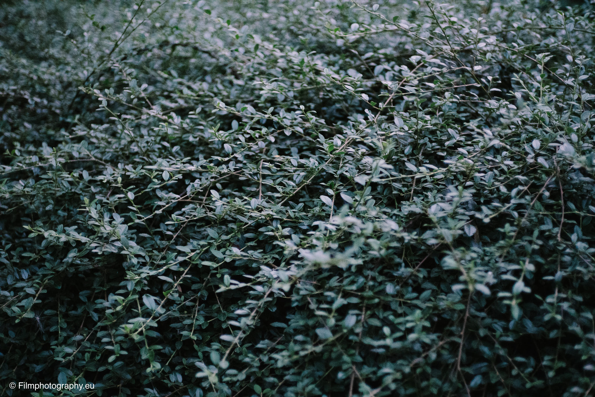7artisans-mf-35mm-f-1-4-sample-photos-sony-wide-open-24
