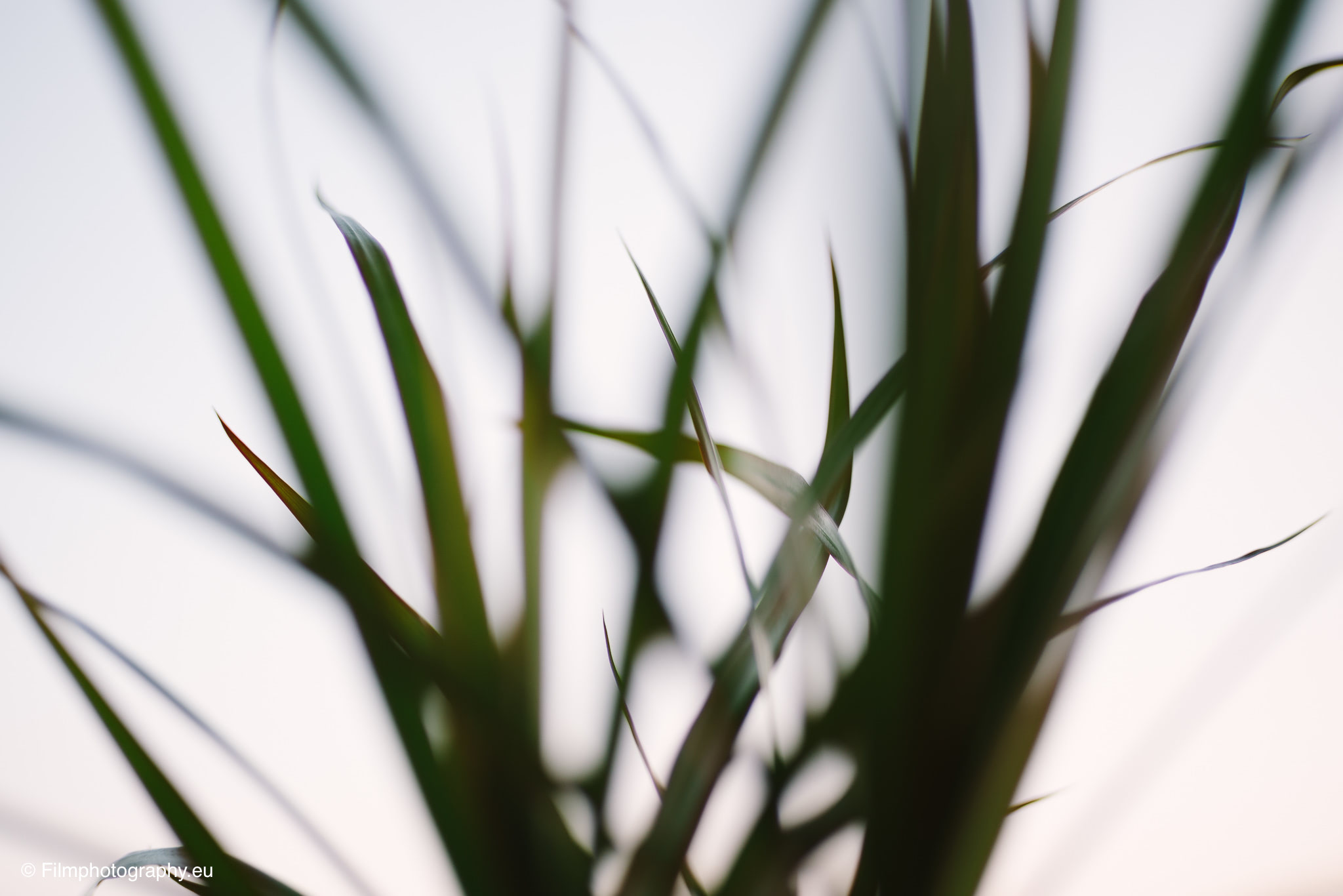 7artisans-mf-35mm-f-1-4-sample-photos-sony-wide-open-4