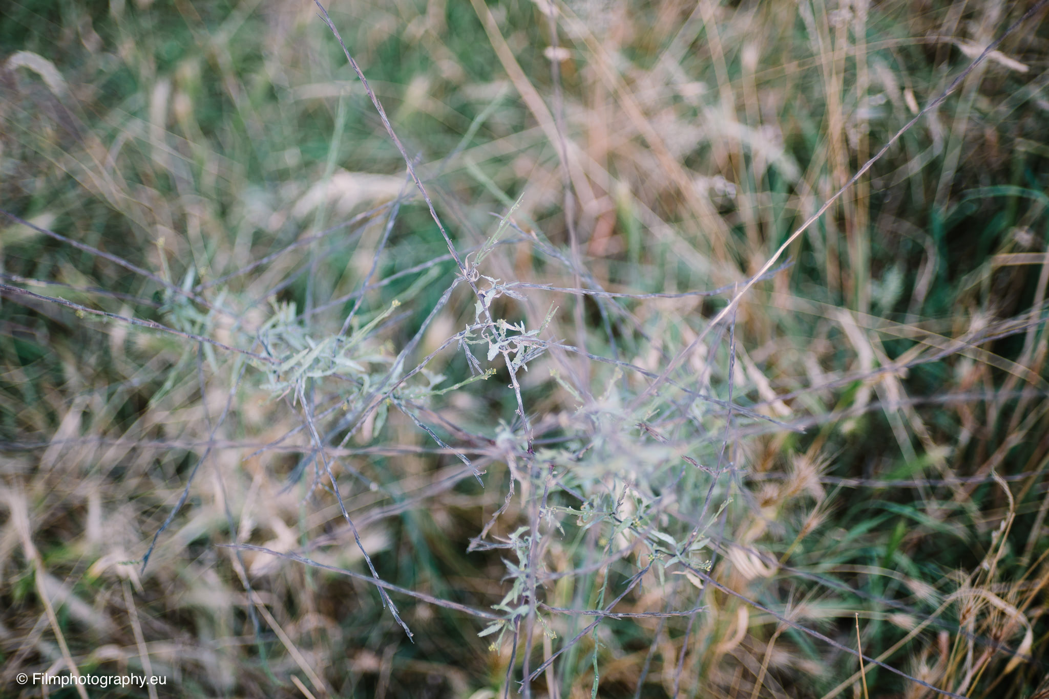 7artisans-mf-35mm-f-1-4-sample-photos-sony-wide-open-5