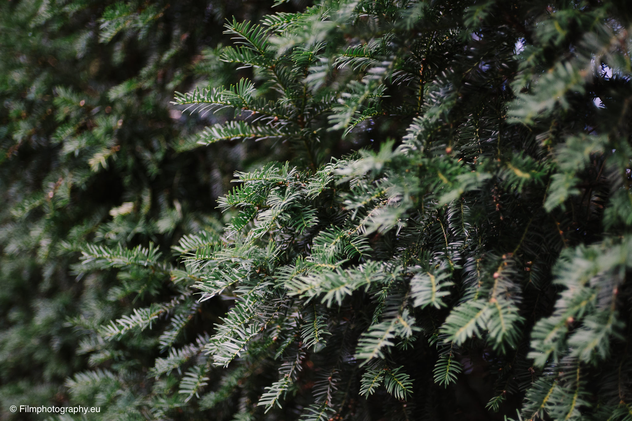 7artisans-mf-35mm-f-1-4-sample-photos-sony-wide-open-6