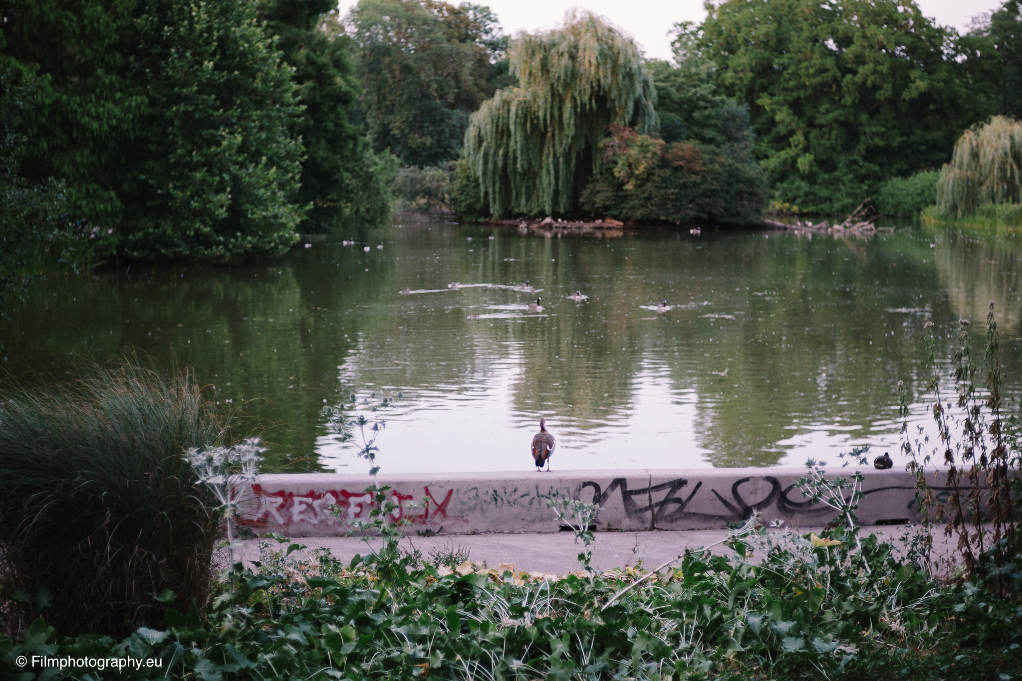 7artisans-mf-35mm-f-1-4-sample-photos-sony-wide-open-9