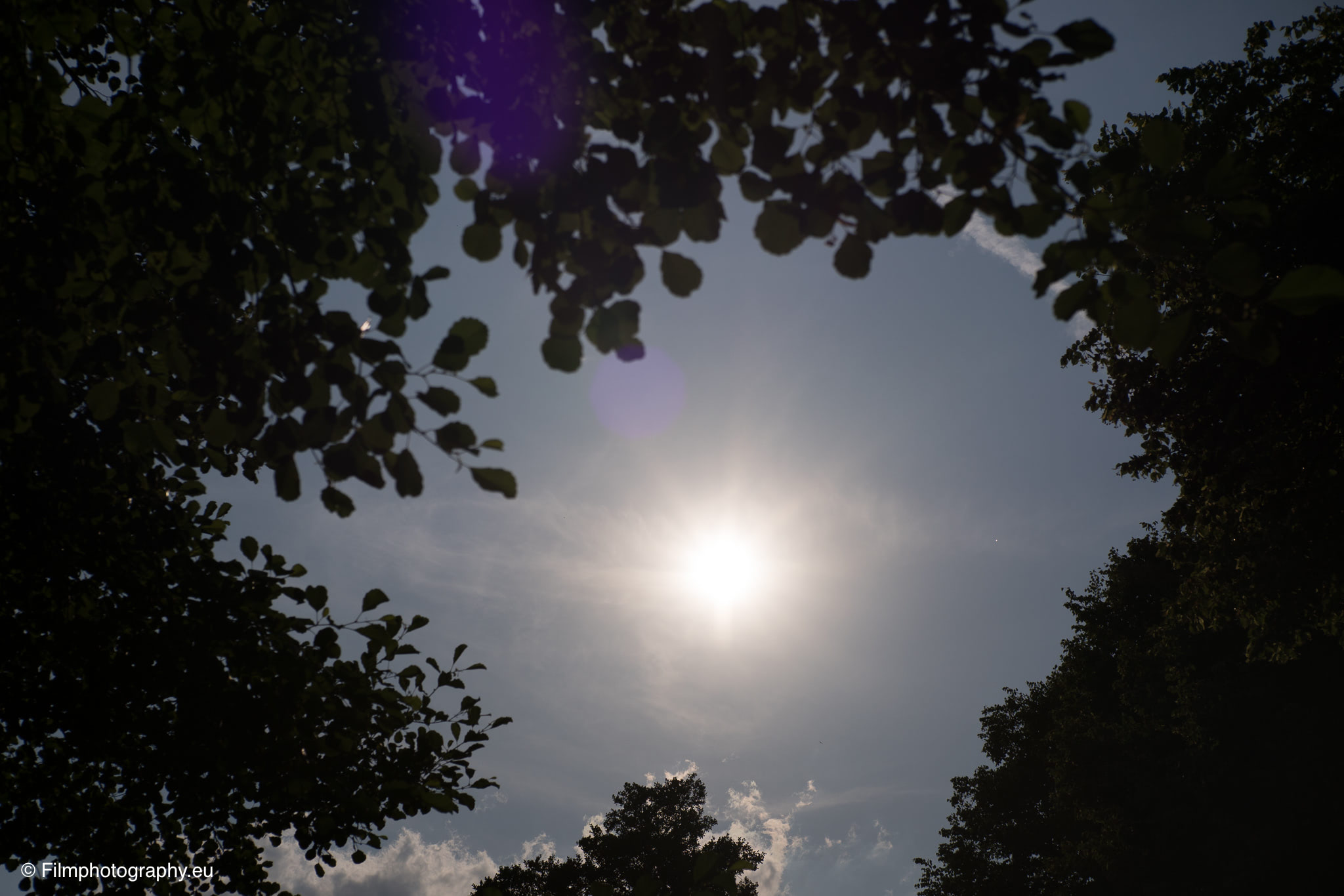 7artisans-mf-35mm-f-1-4-sample-photos-sun-light-1
