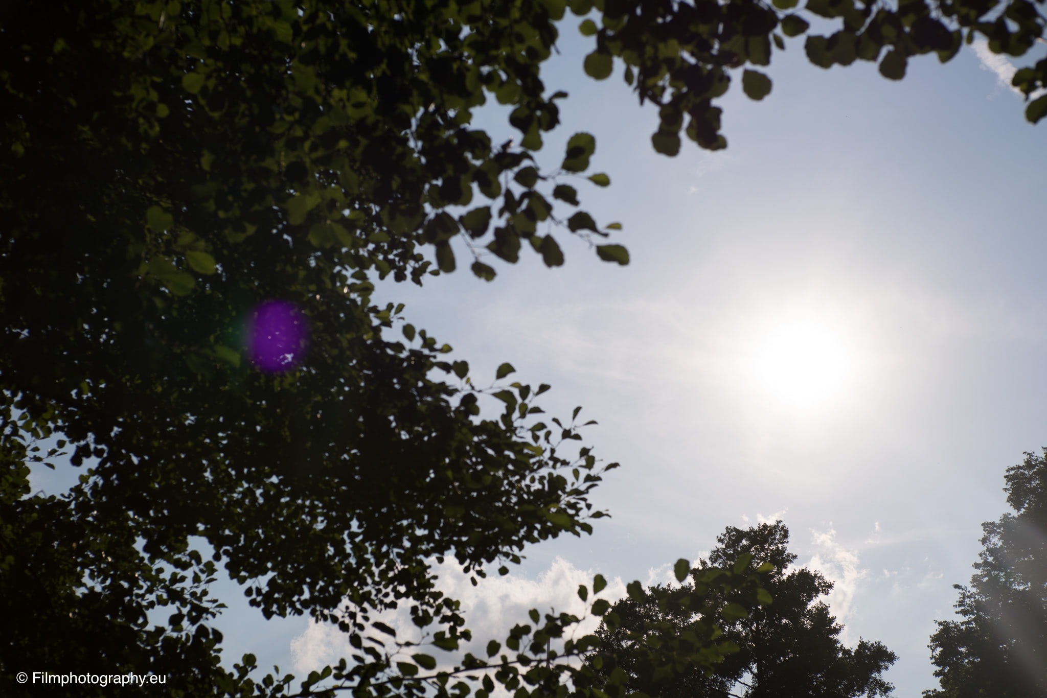 7artisans-mf-35mm-f-1-4-sample-photos-sun-light-2