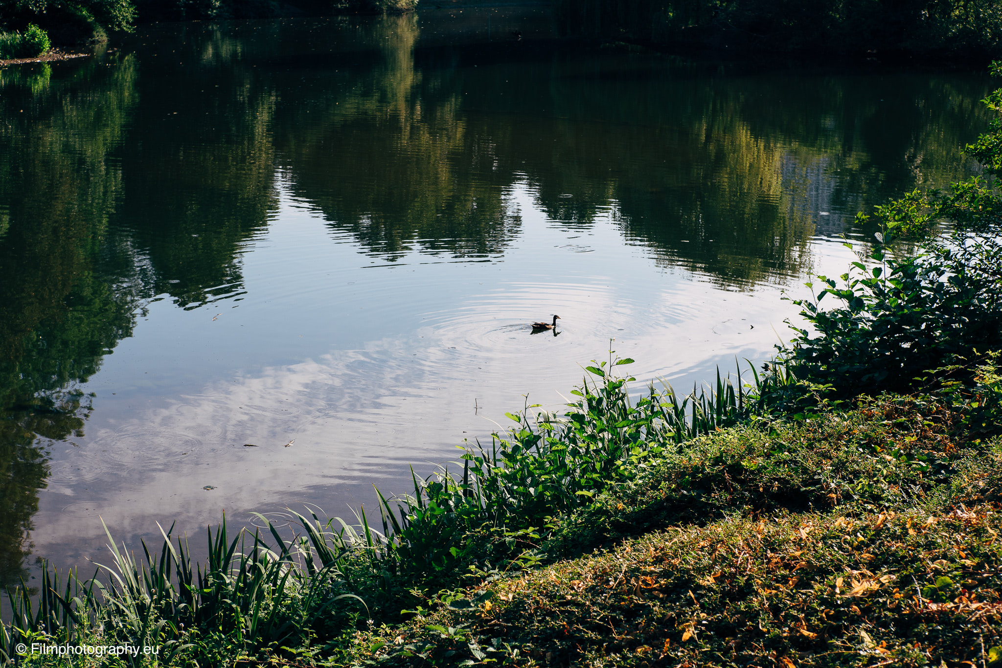 7artisans-mf-35mm-f-1-4-sample-pictures-12