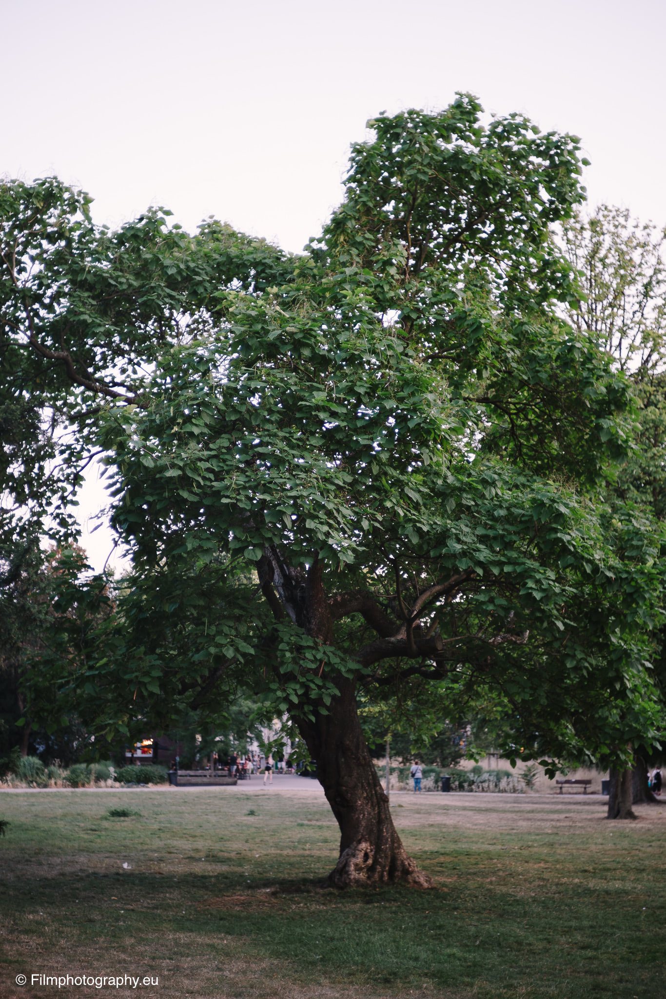7artisans-mf-35mm-f-1-4-sample-pictures-3