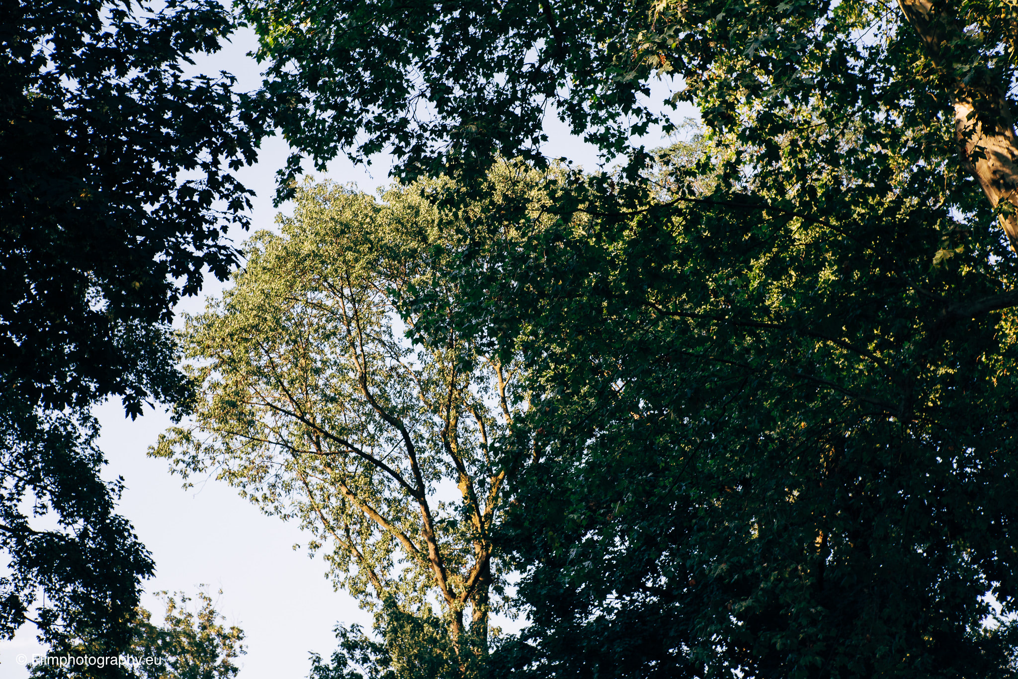 7artisans-mf-35mm-f-1-4-sample-pictures-77