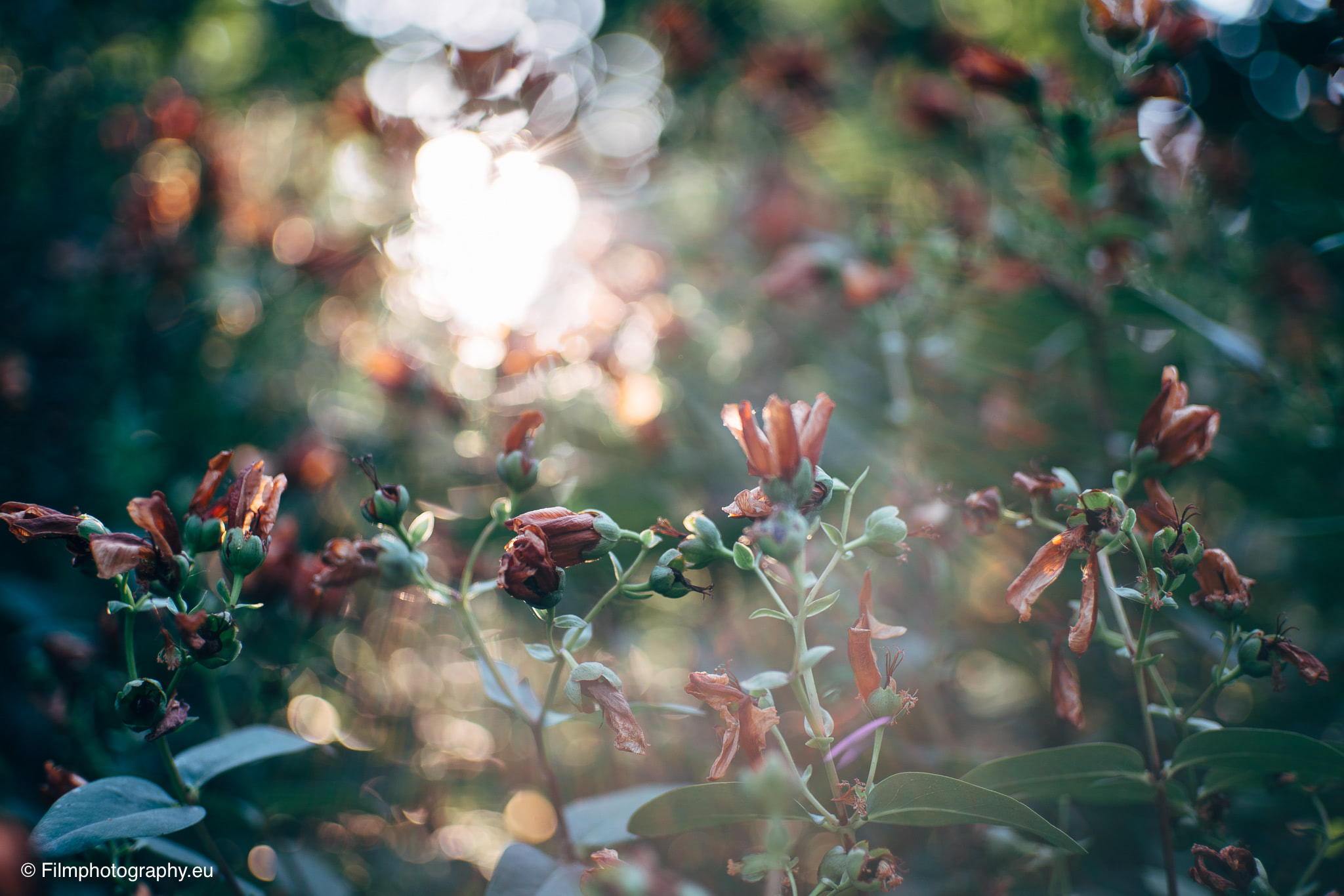 7artisans-mf-35mm-f-1-4-sample-pictures-79