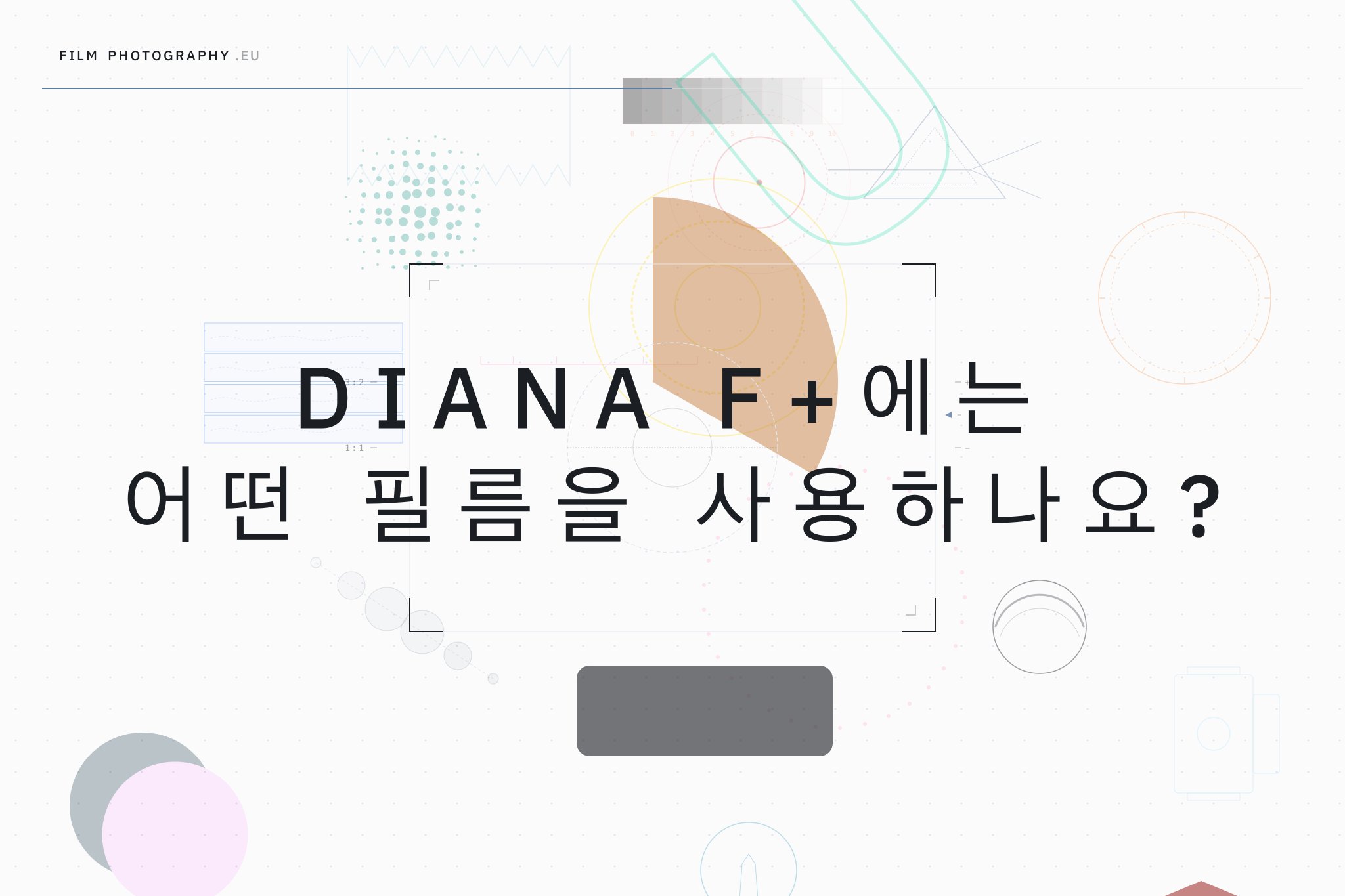 Diana F+에는 어떤 필름을 사용하나요?