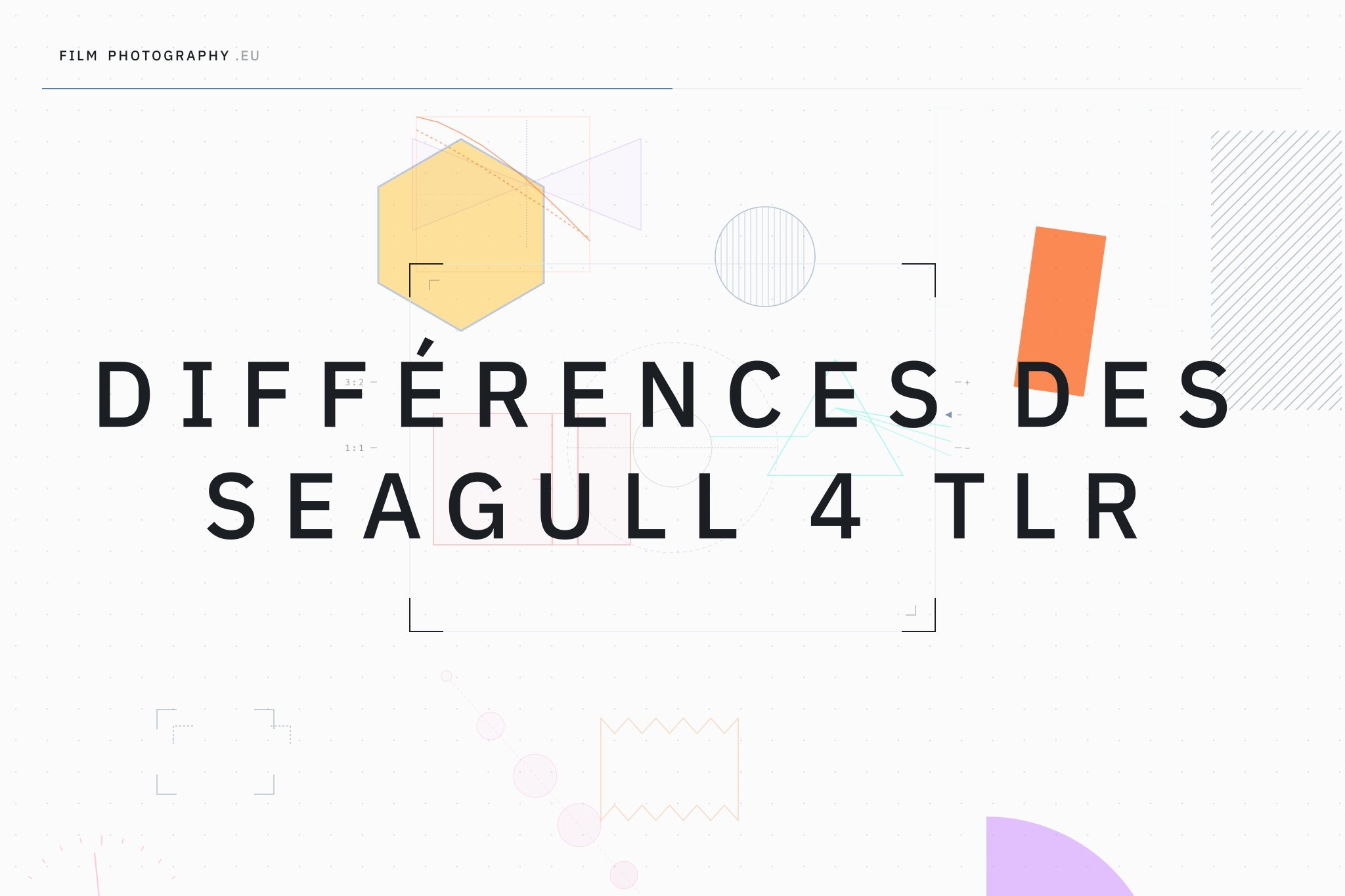 Différences des Seagull 4 TLR