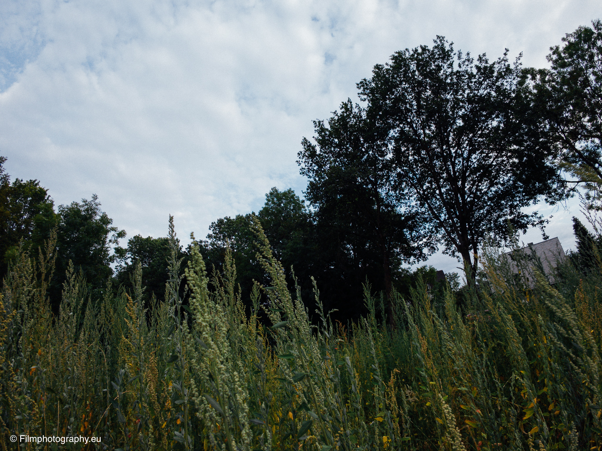 dji-osmo-nano-review-sample-photos-5