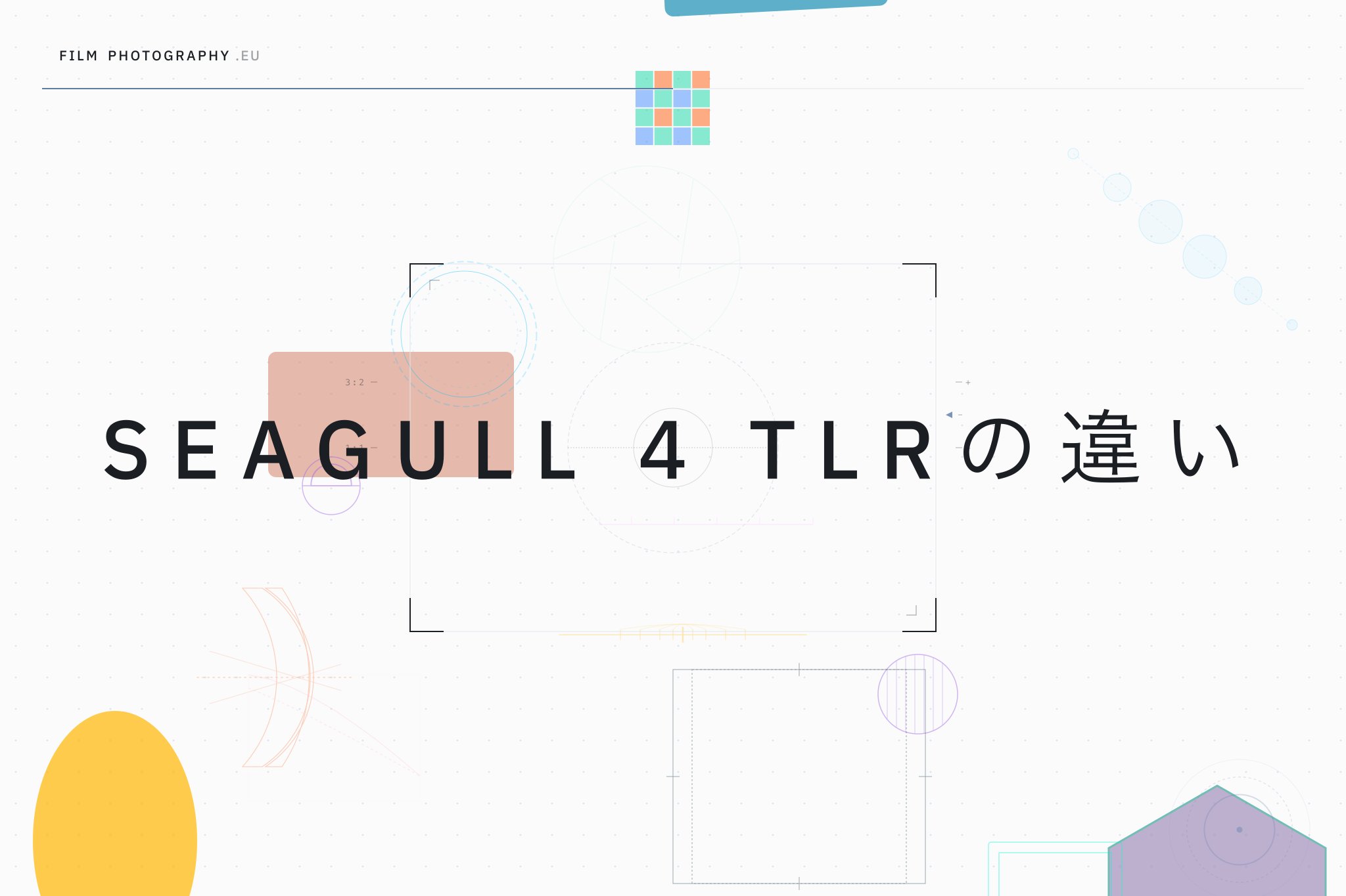 Seagull 4 TLRの違い