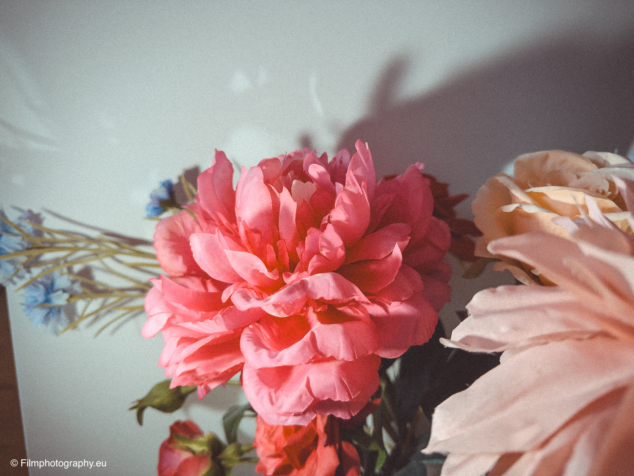 fotorgear-cob-light-flash-iphone-review-6